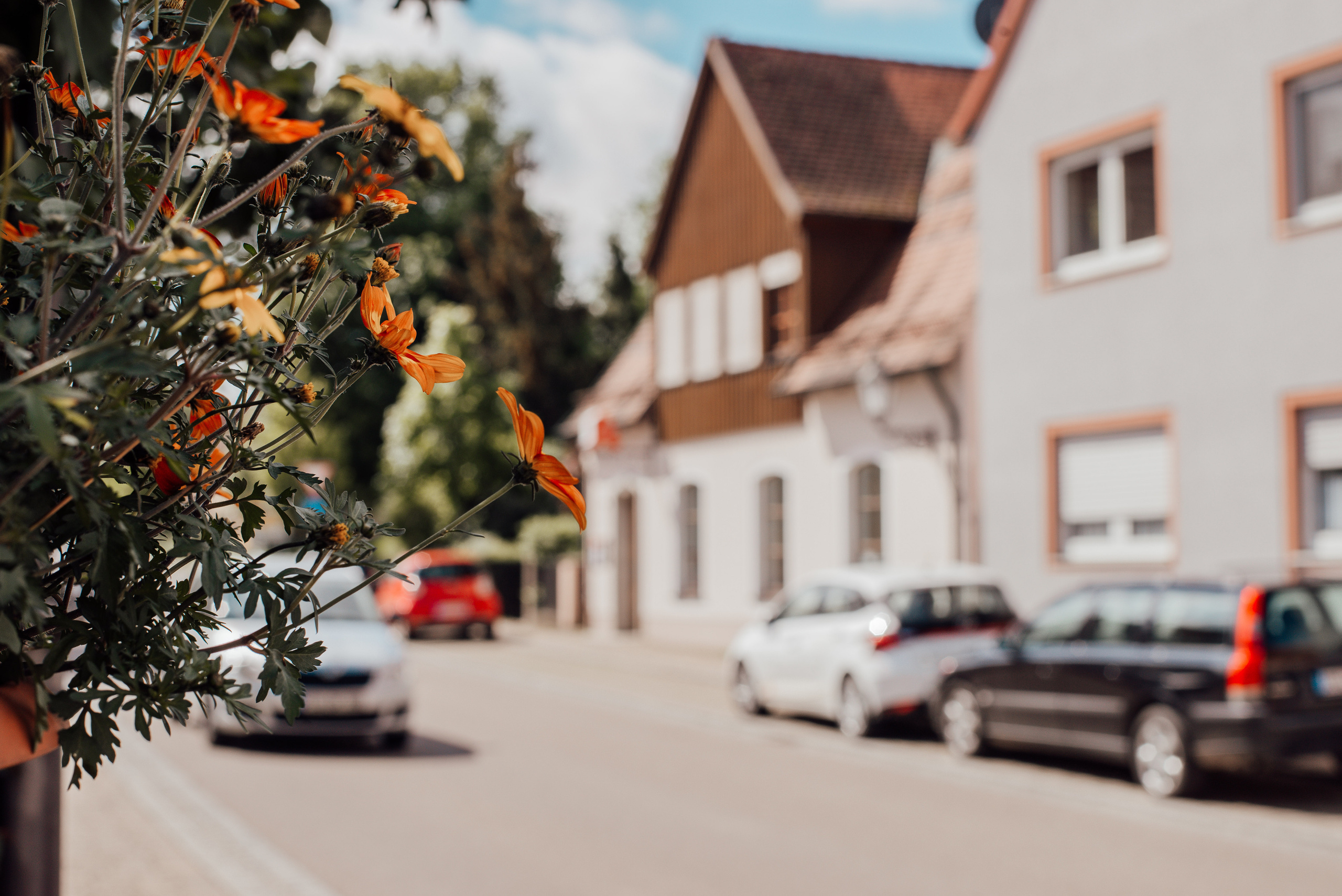 Weigel Apotheke. Фотограф в Нюрнберге Ирина Менерт из Ансбаха