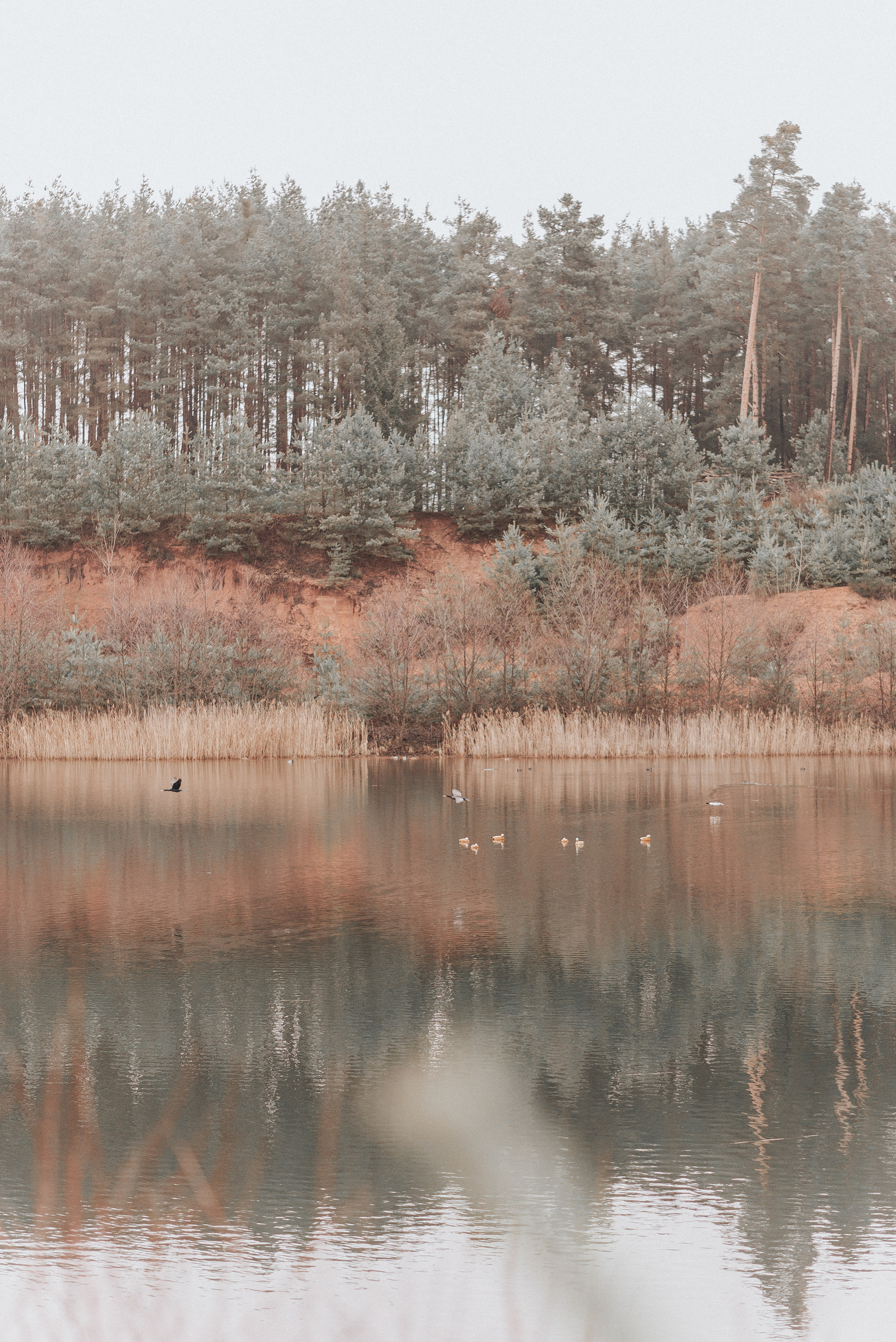 ВРЕМЯ С ПАПОЙ. Фотограф в Нюрнберге Ирина Менерт из Ансбаха