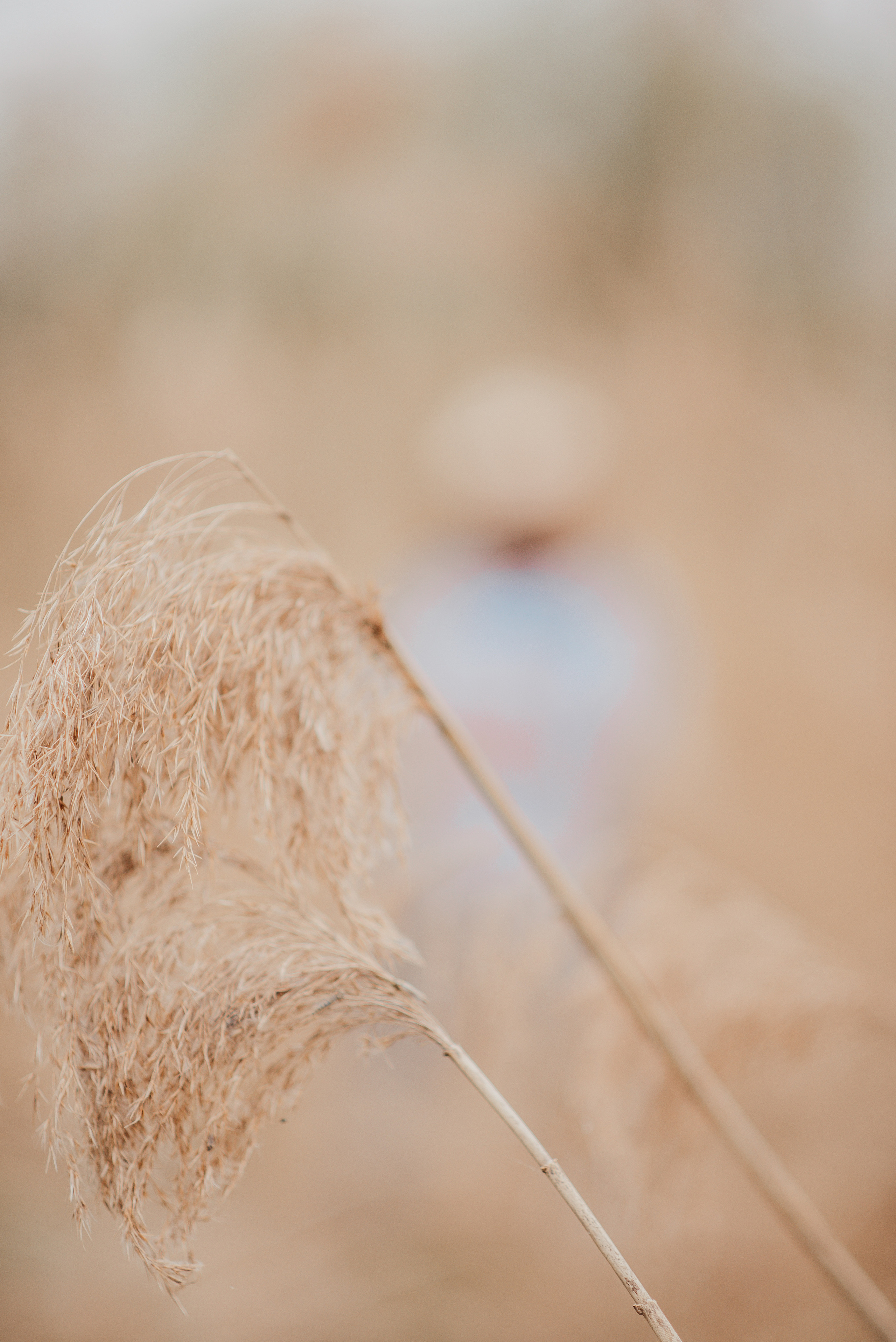 ALTMÜHLSEE. Фотограф в Нюрнберге Ирина Менерт из Ансбаха