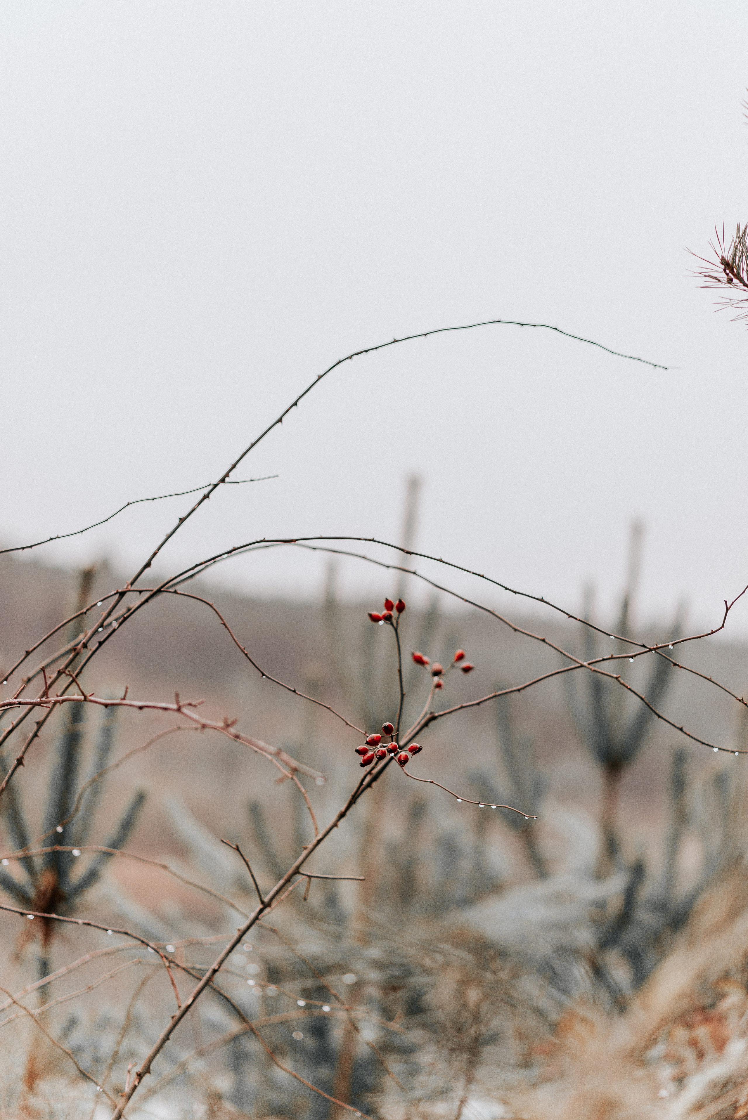 ВРЕМЯ С ПАПОЙ. Фотограф в Нюрнберге Ирина Менерт из Ансбаха