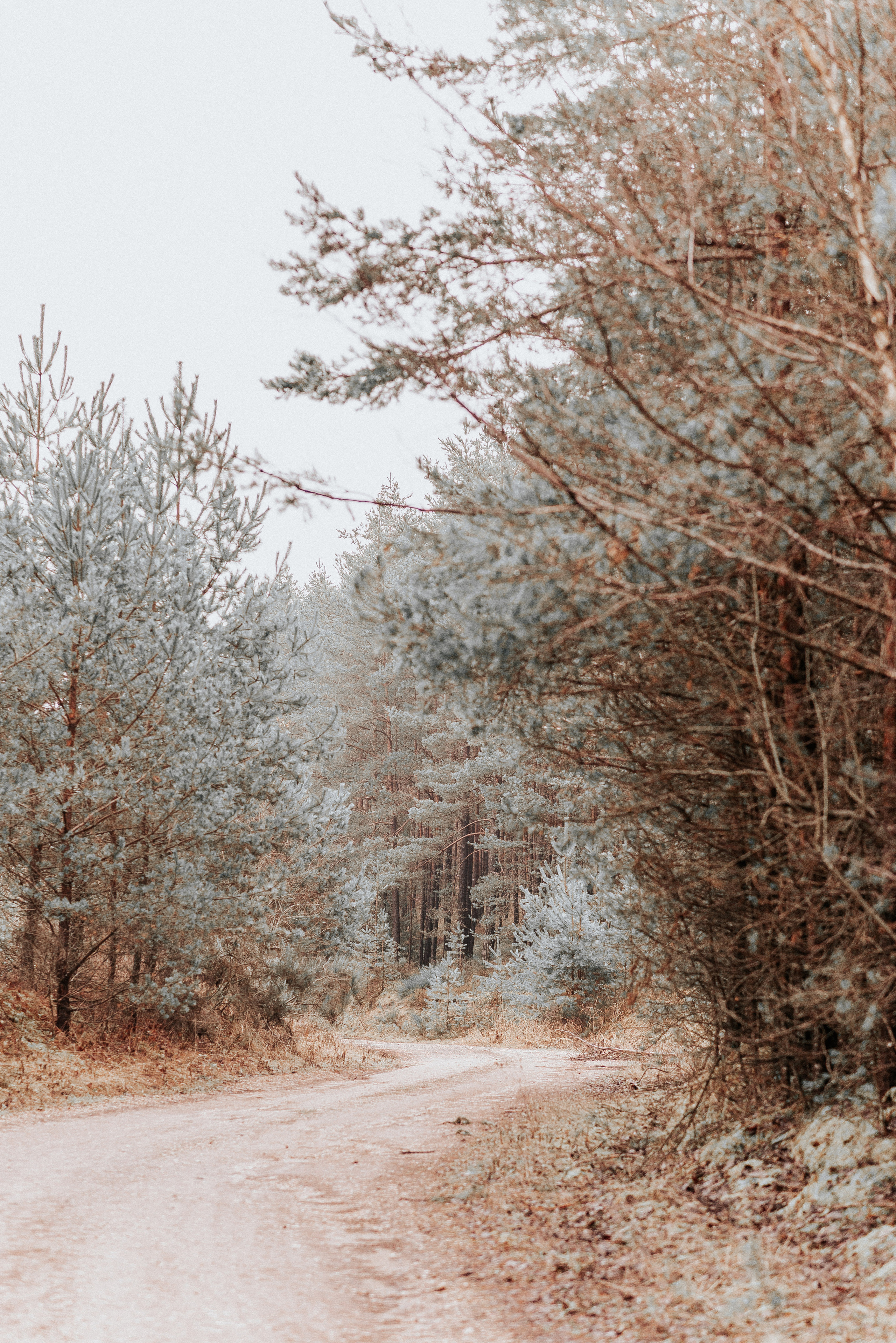ВРЕМЯ С ПАПОЙ. Фотограф в Нюрнберге Ирина Менерт из Ансбаха