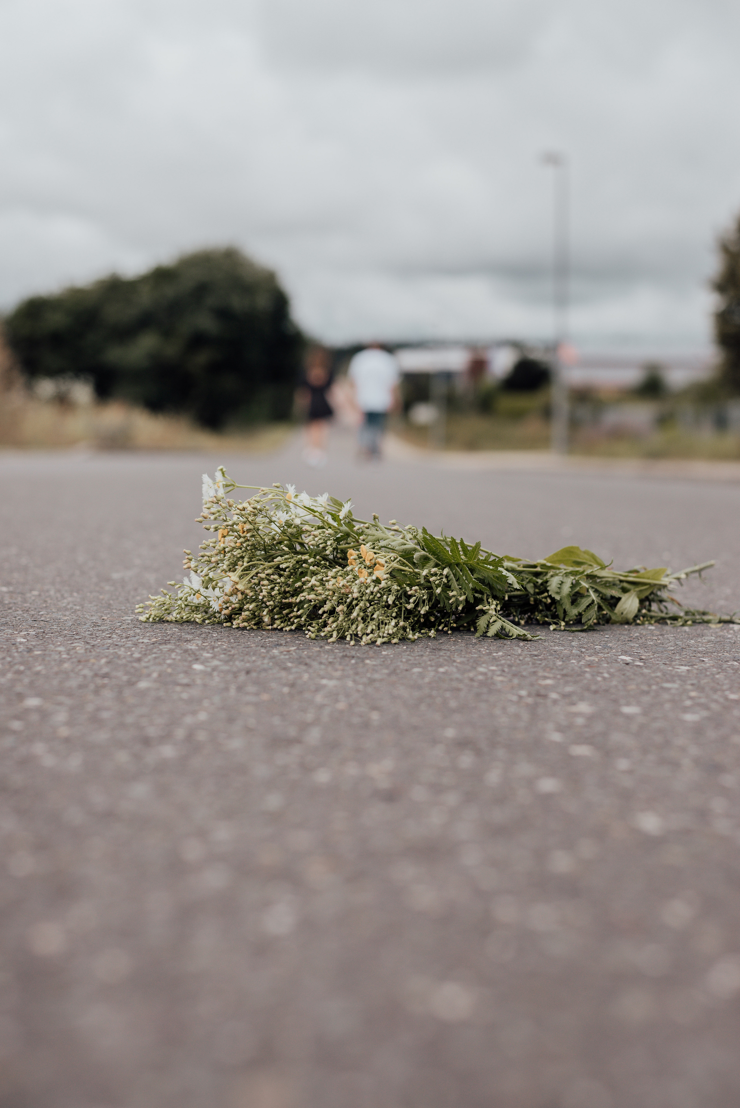 LOVEBIRDS. Photographer in Nuremberg Irina Mehnert from Ansbach