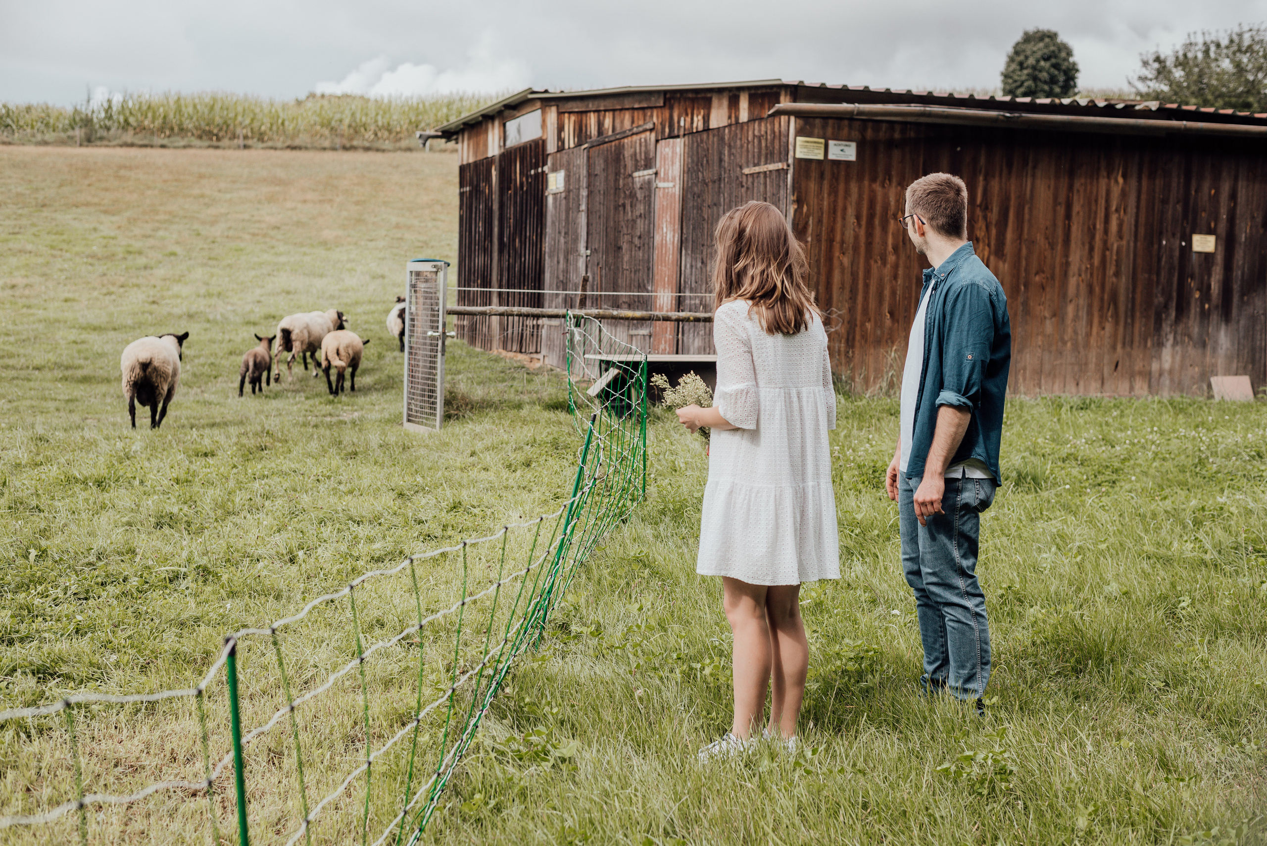 LOVEBIRDS. Photographer in Nuremberg Irina Mehnert from Ansbach