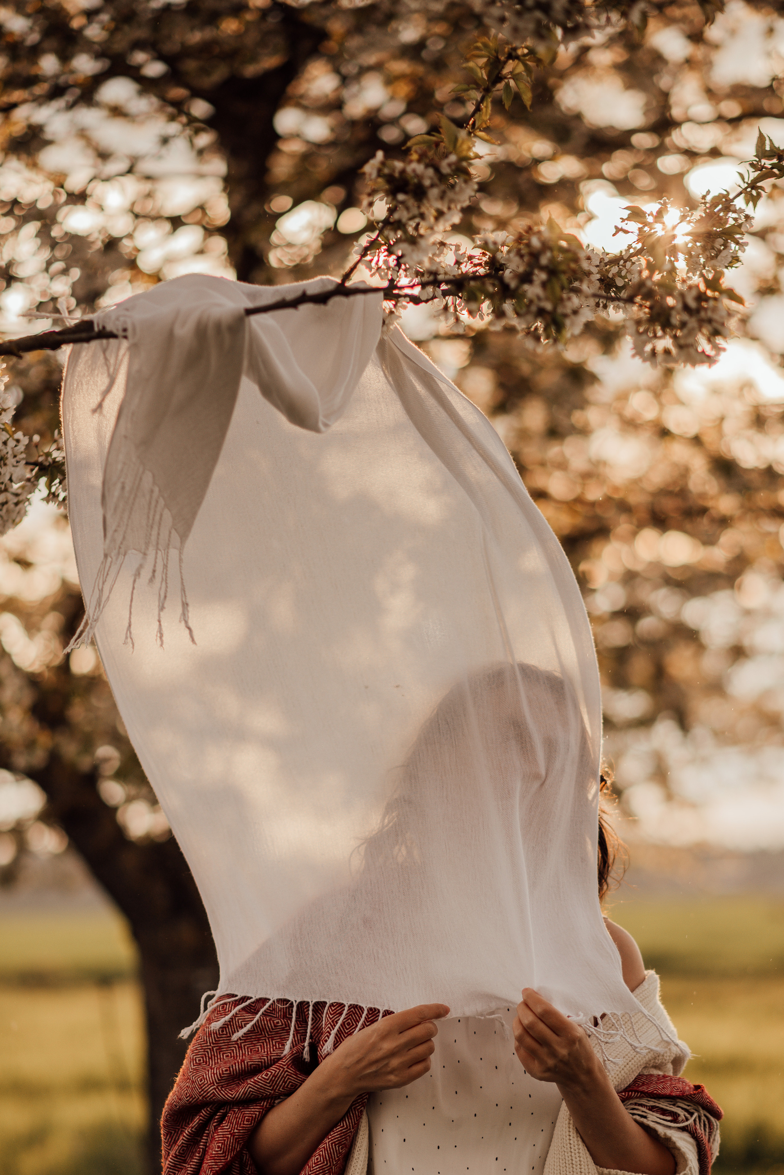 SUNSET. Photographer in Nuremberg Irina Mehnert from Ansbach