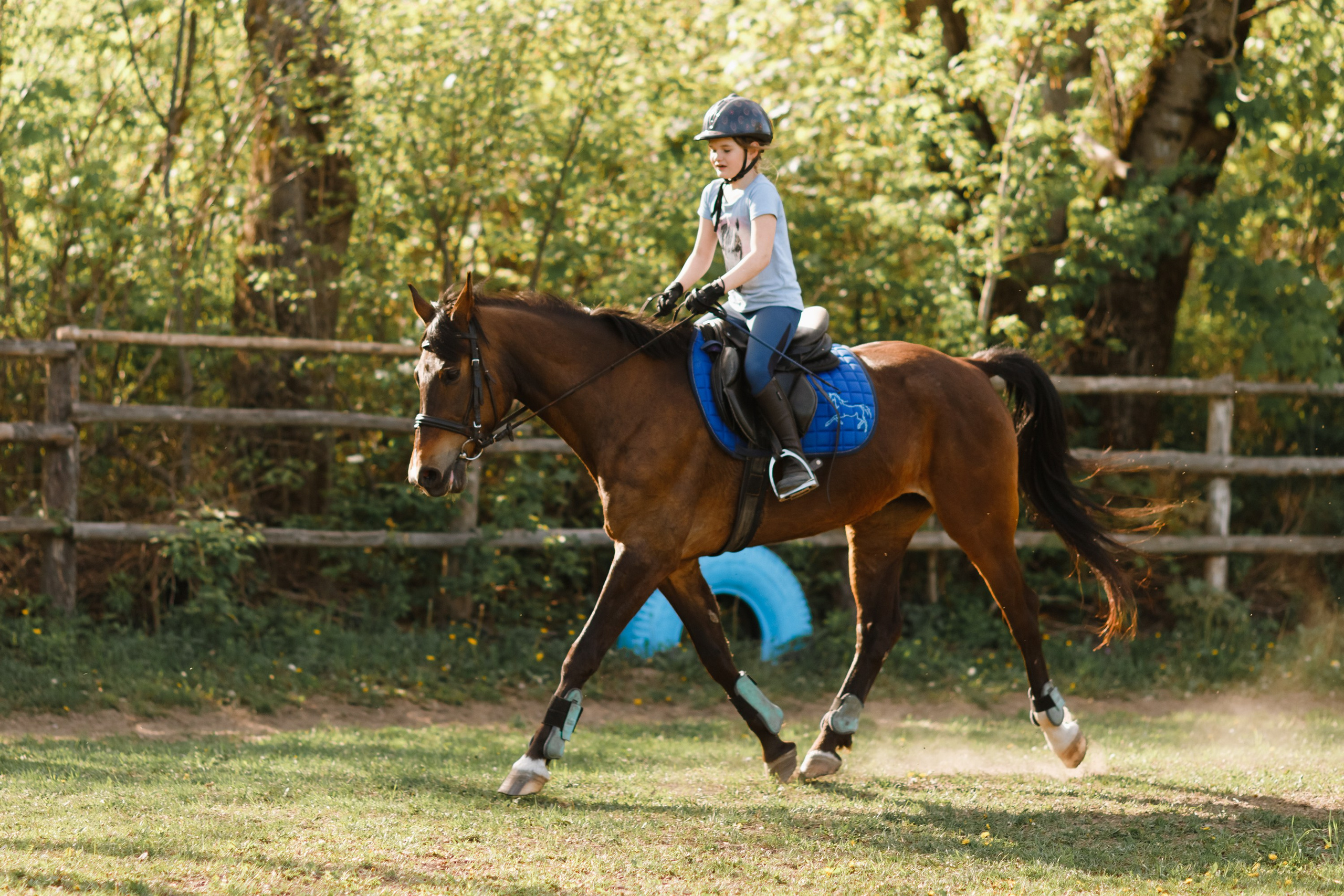 Girls & horses, summer. Kaja | fotograf psów we Wrocławiu
