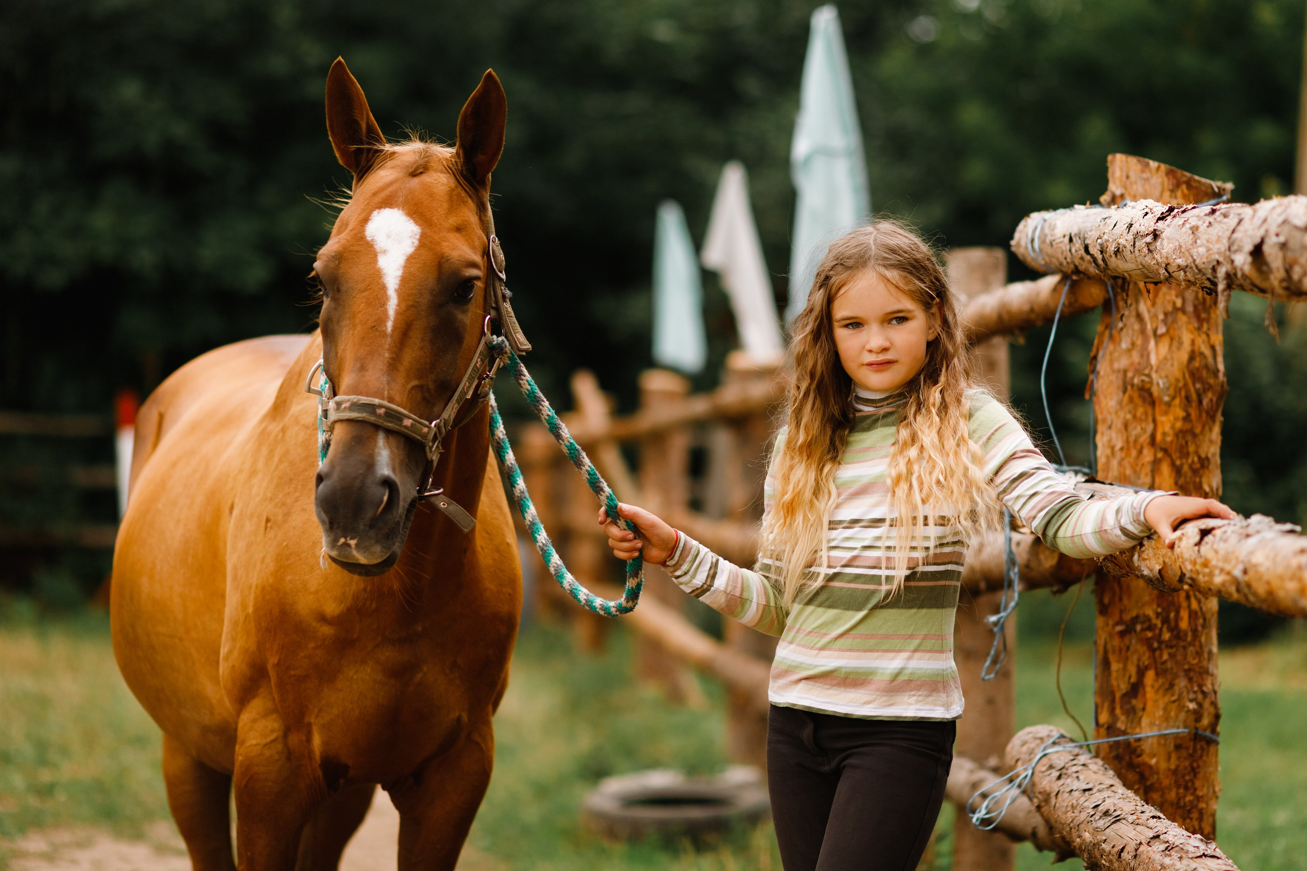 Girls & horses, summer. Kaja | fotograf psów we Wrocławiu
