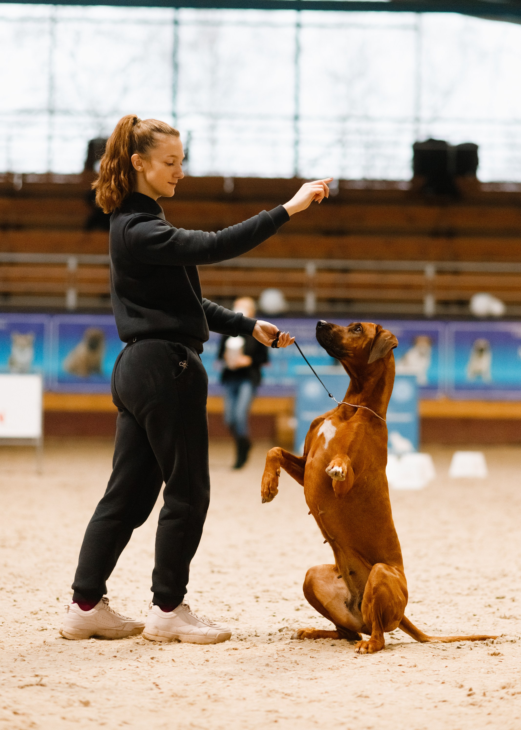Dog shows | the best ones. Kaja | fotograf psów we Wrocławiu