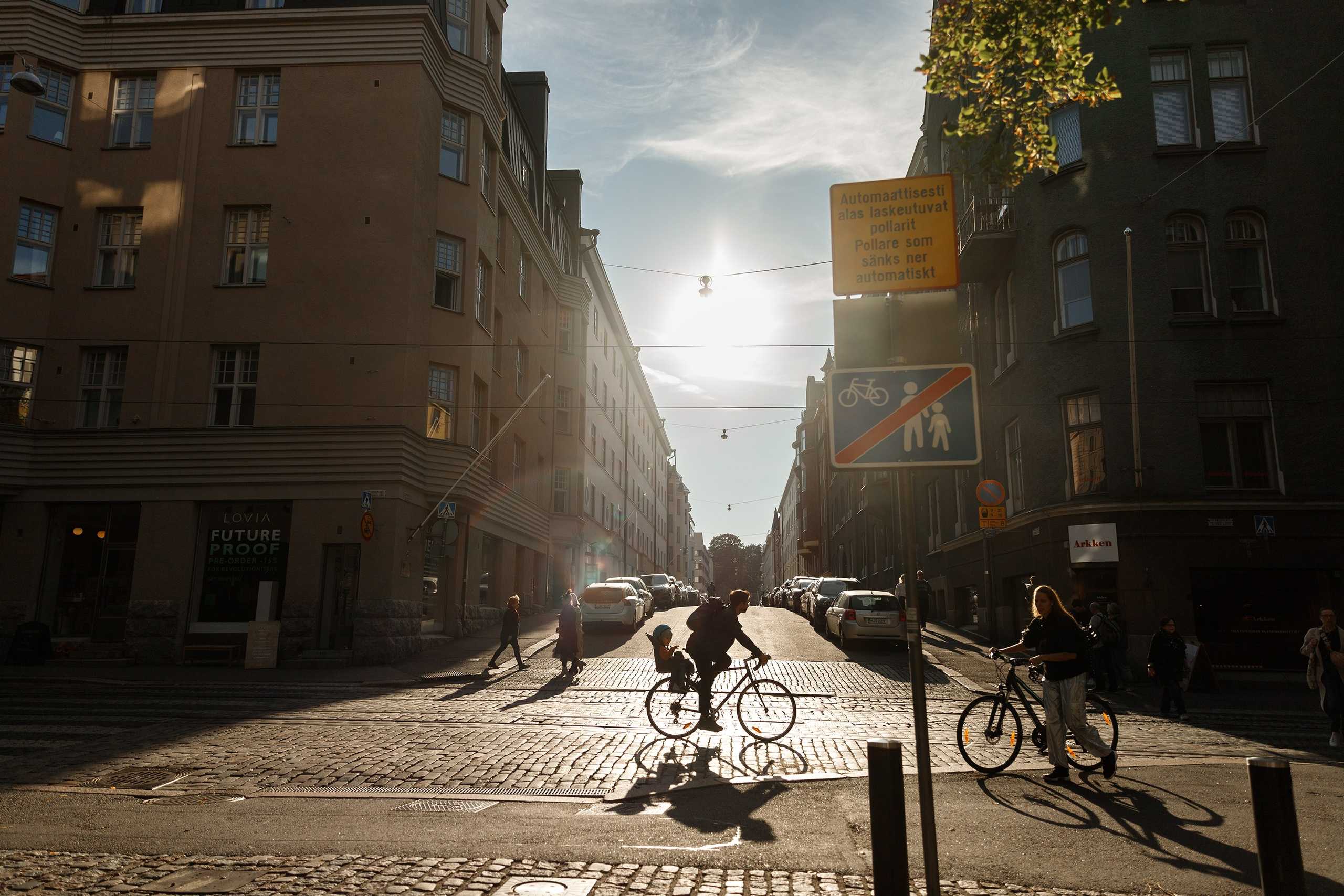 Helsinki. Kaja | fotograf psów we Wrocławiu