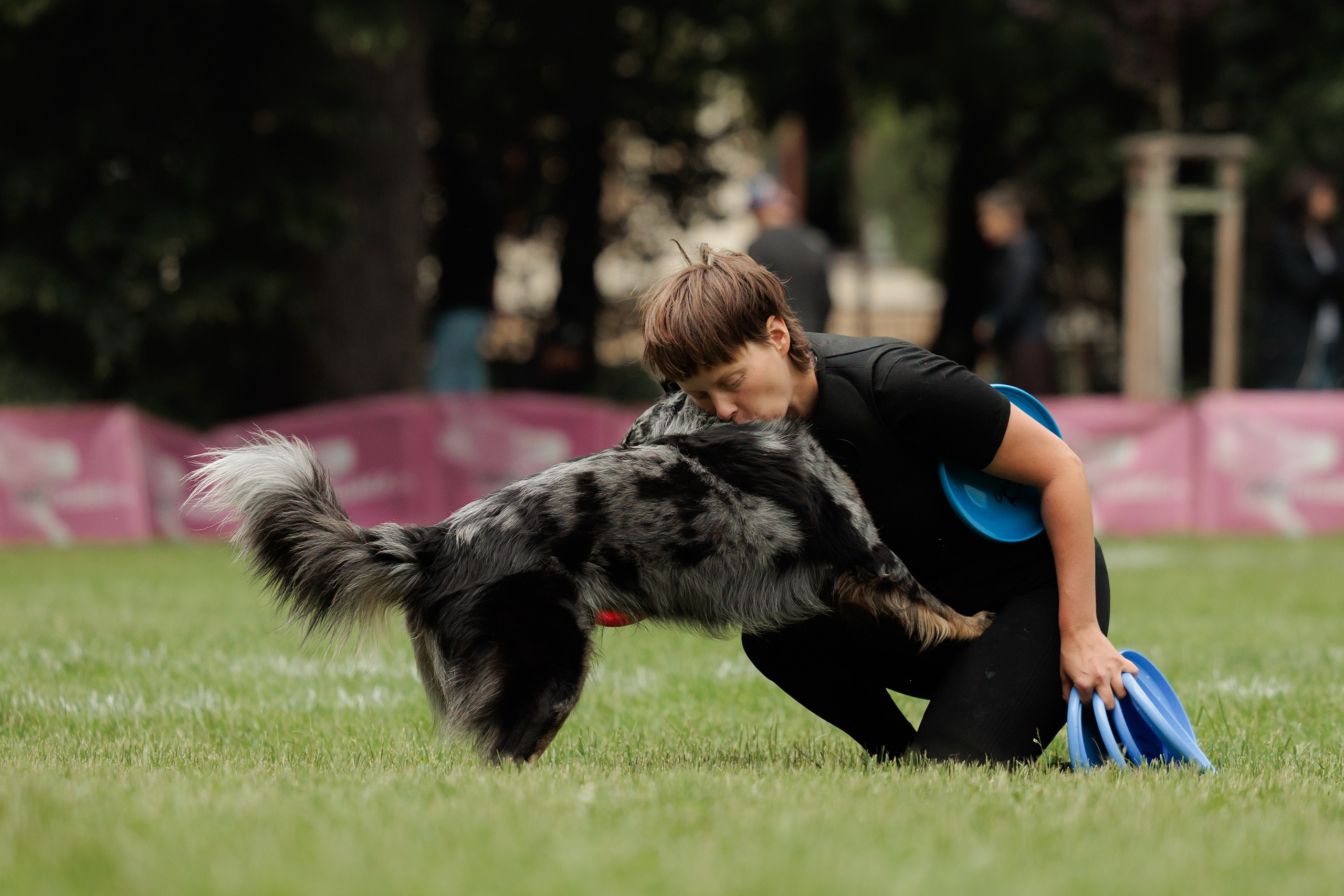 Latające psy, Wrocław'25. Kaja | fotograf psów we Wrocławiu