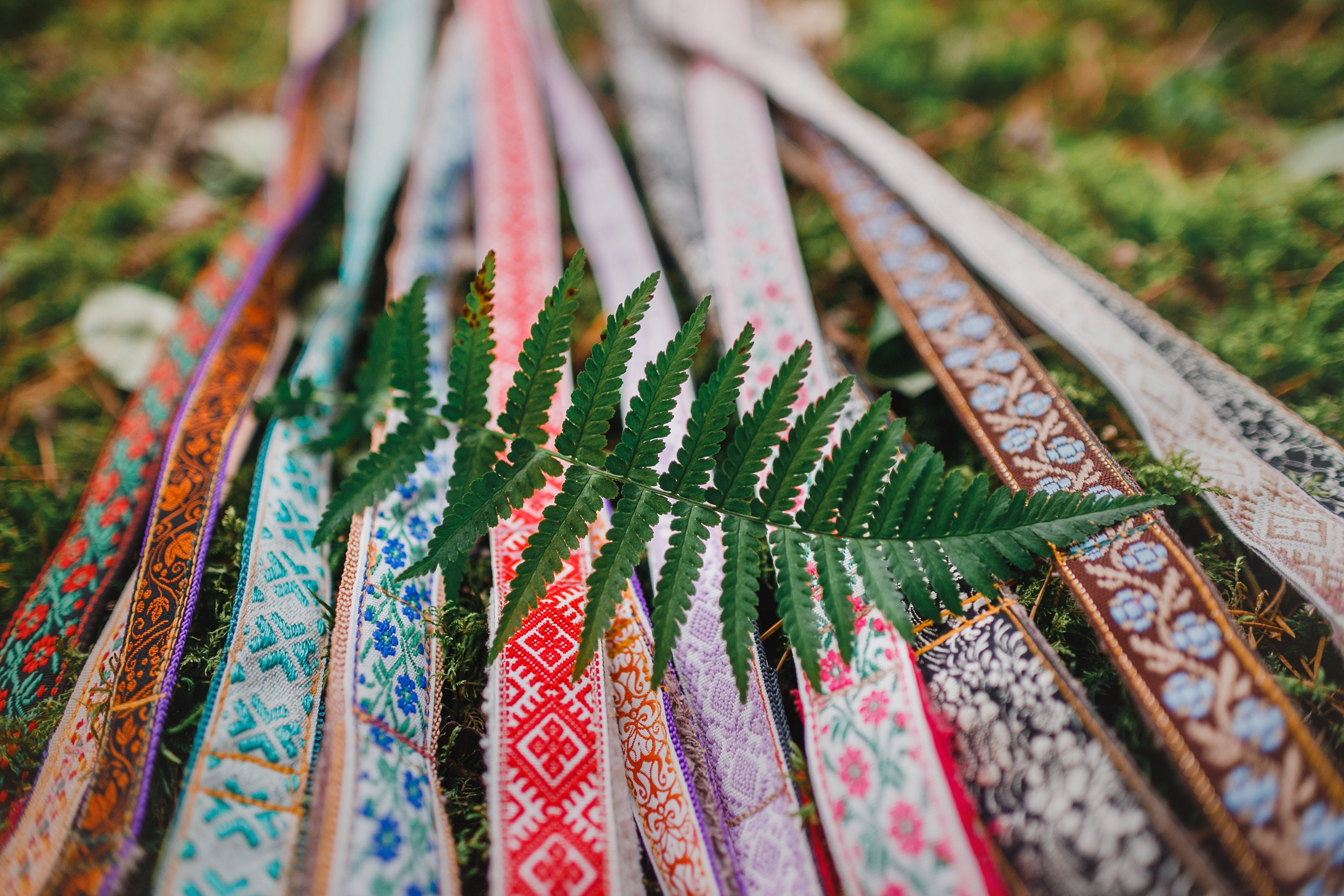 «Kasmach» dogs ammunition. Kaja | fotograf we Wrocławiu | ludzie i psy