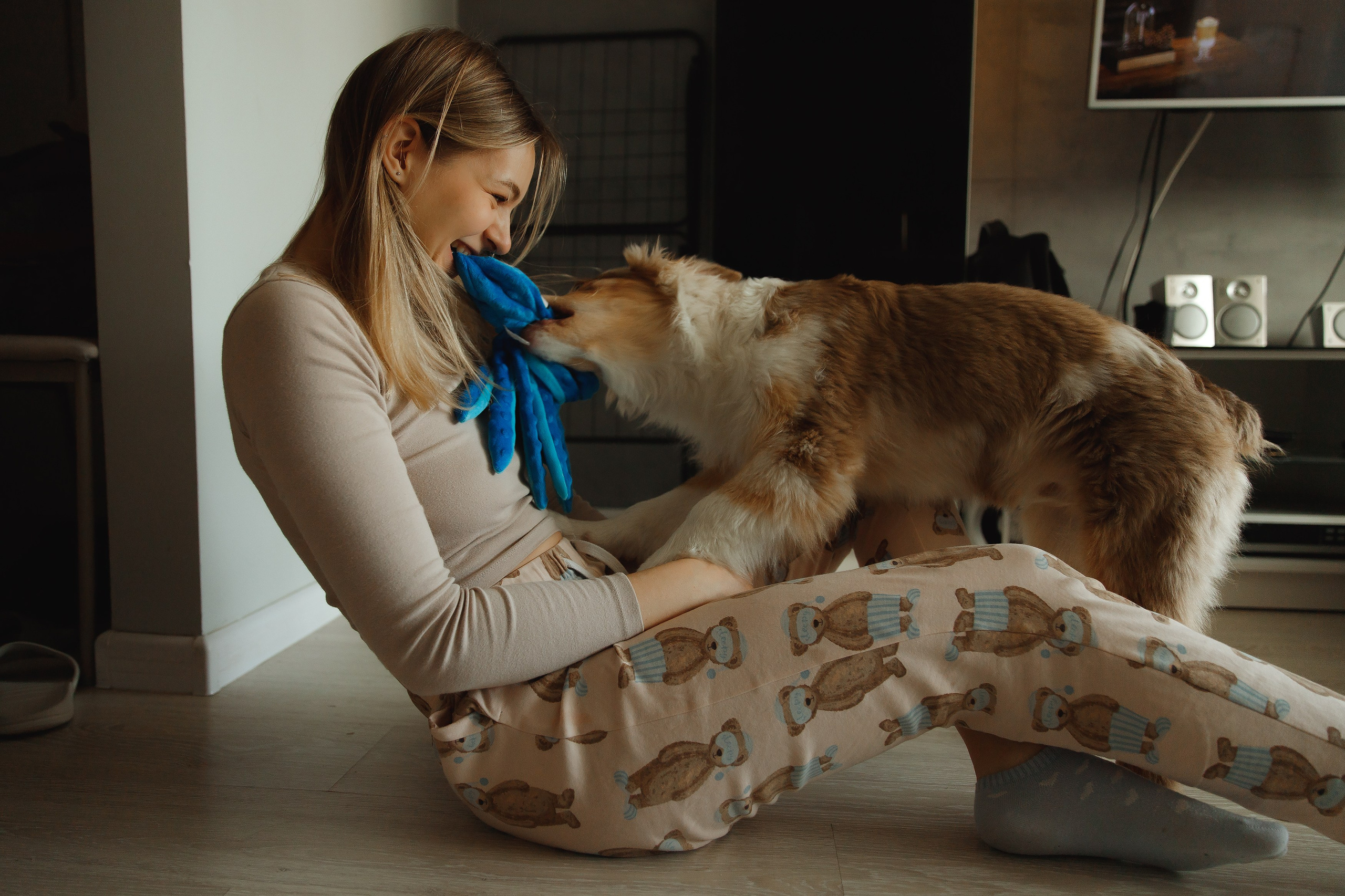 Fotografia psów Wrocław. Kaja | fotograf we Wrocławiu | ludzie i psy