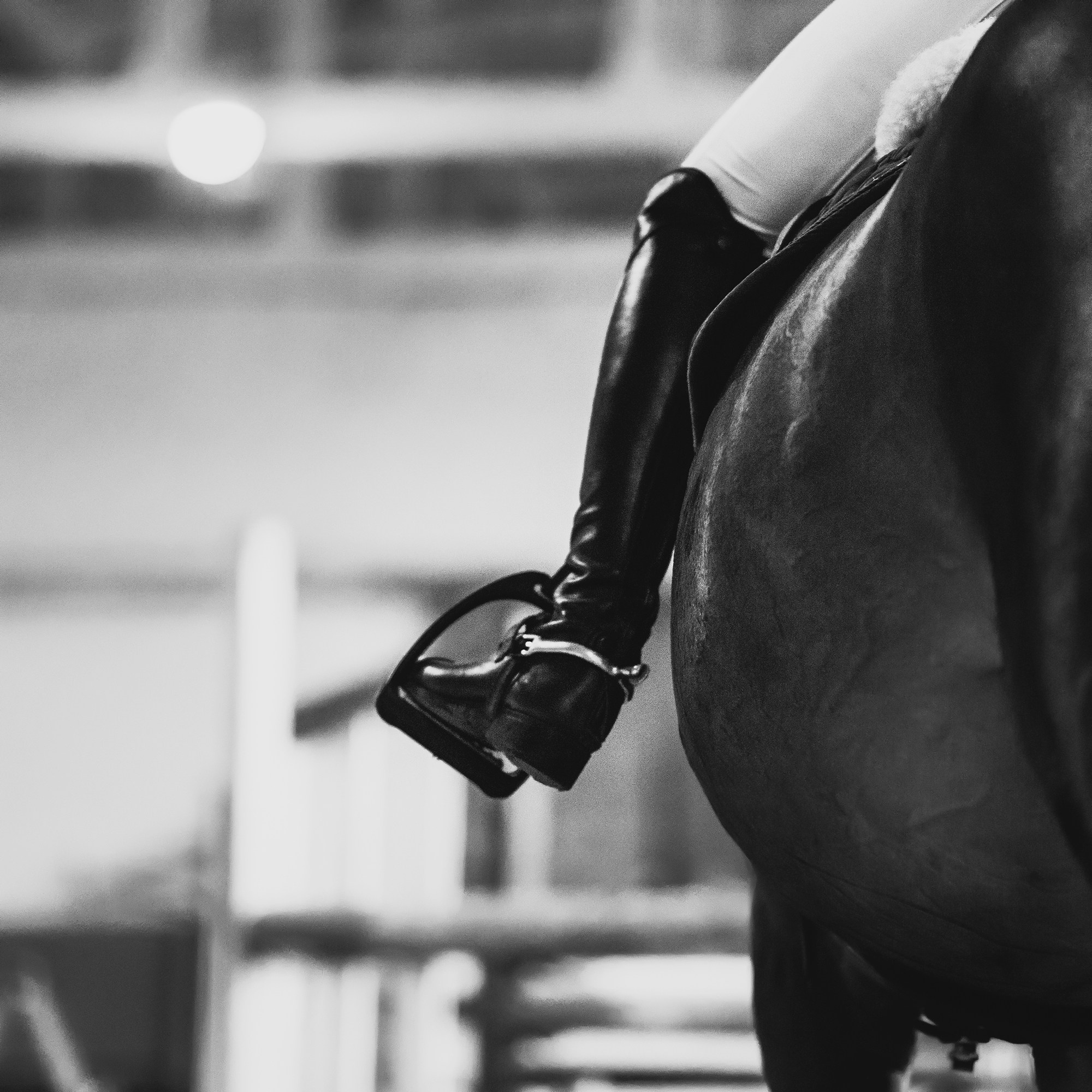 Winter show jumping in «Progress». Kaja | fotograf we Wrocławiu | ludzie i psy
