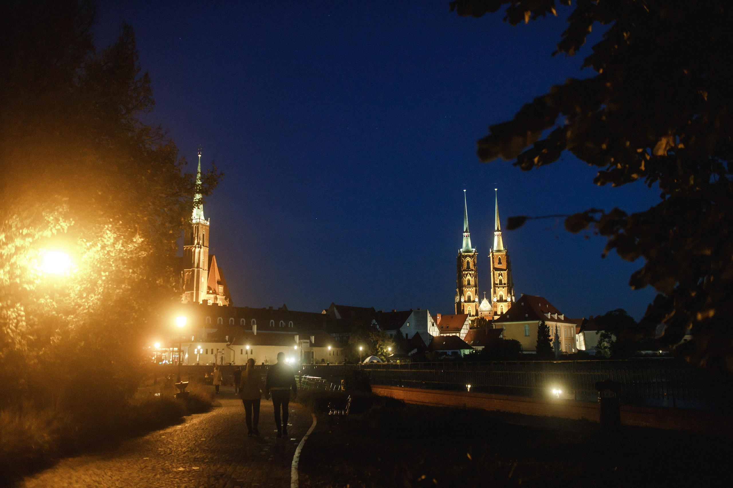 Nastya. Kaja | fotograf psów we Wrocławiu
