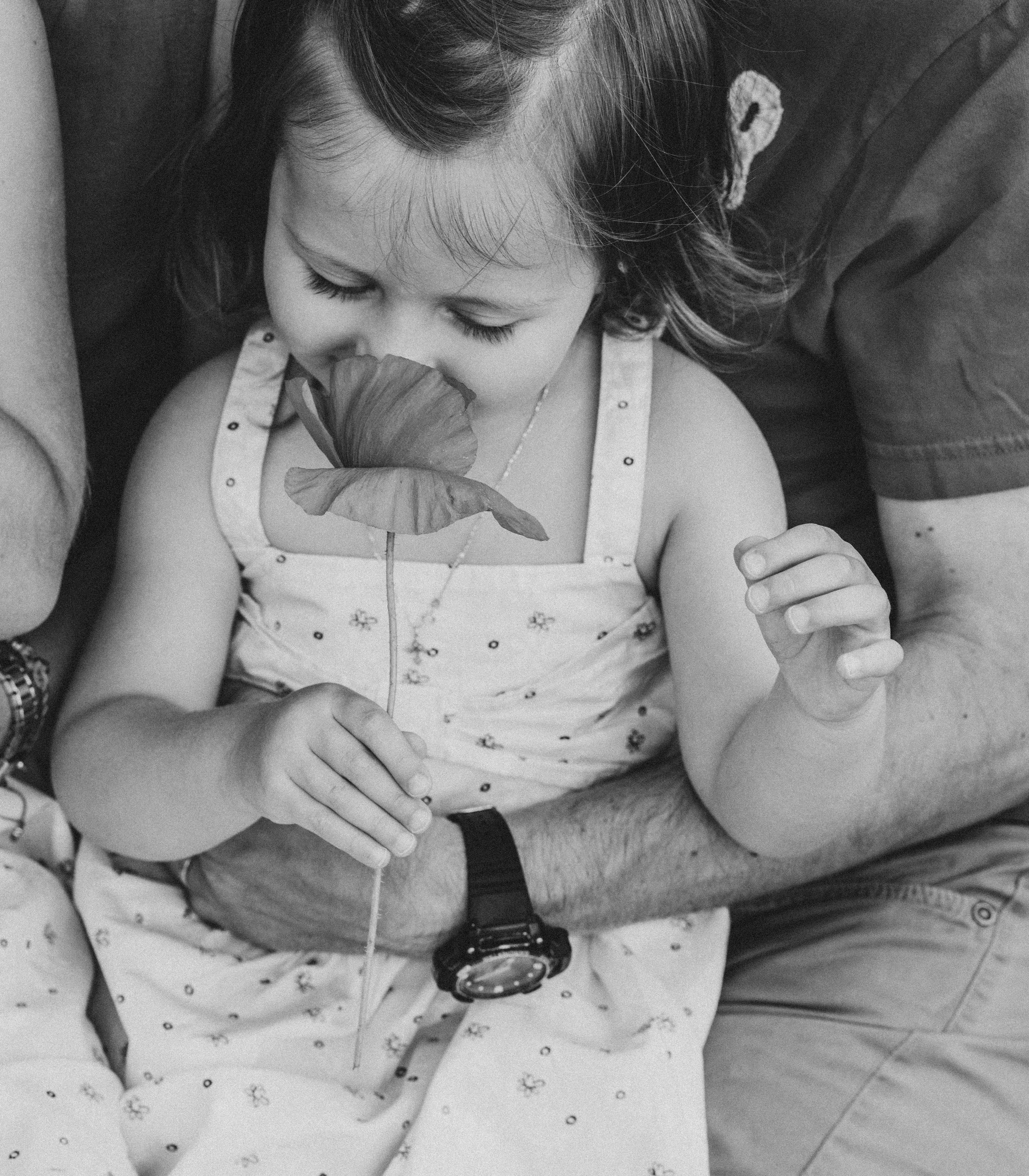 Poppies. Family photographer in Geneva Switzerland Anastasiia Francuzova. Семей