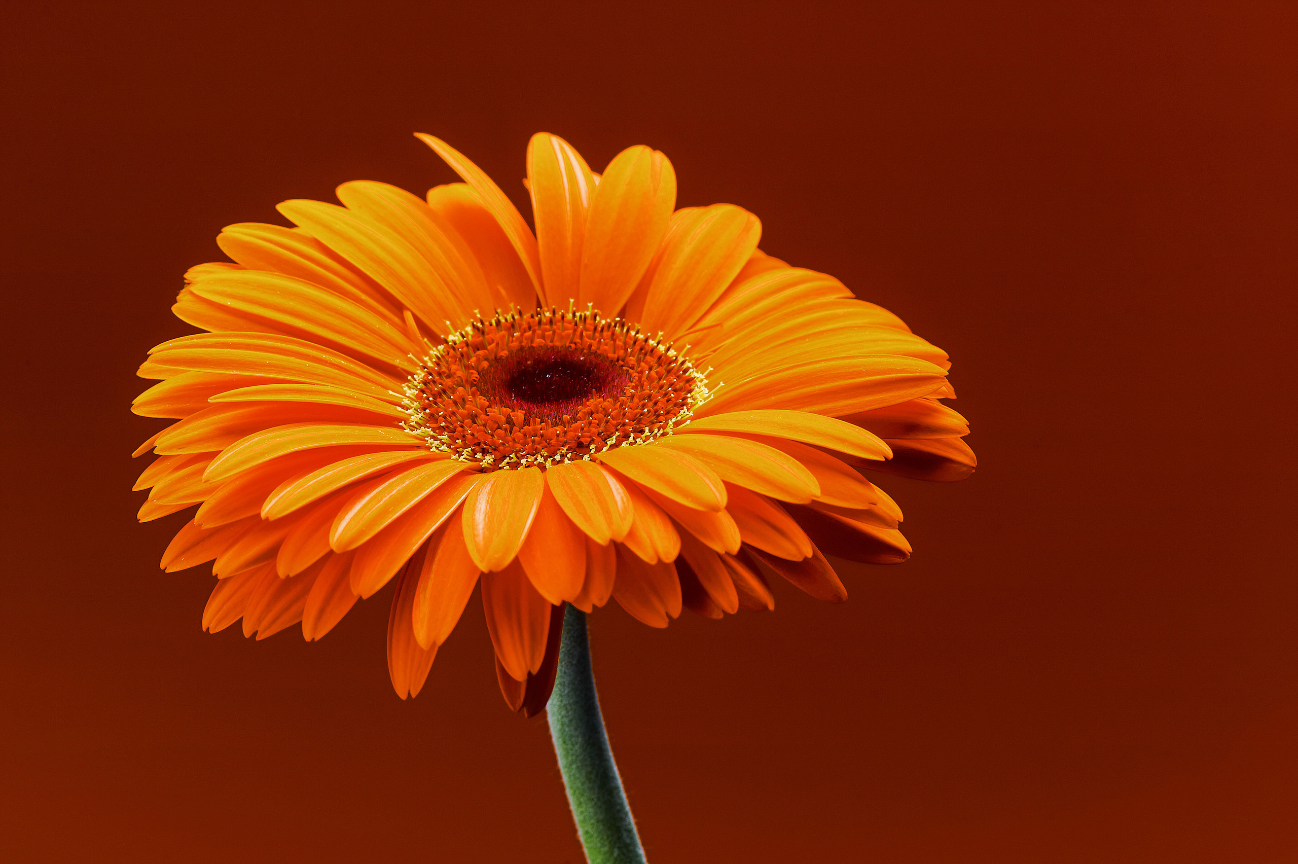 Commercial. Commercial, interior, food photographer Andrey Nikiforov, based in Rig