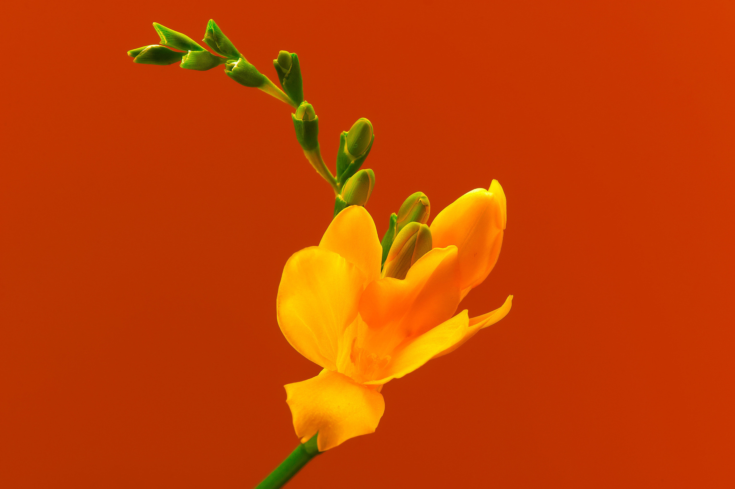 Commercial. Commercial, interior, food photographer Andrey Nikiforov, based in Rig