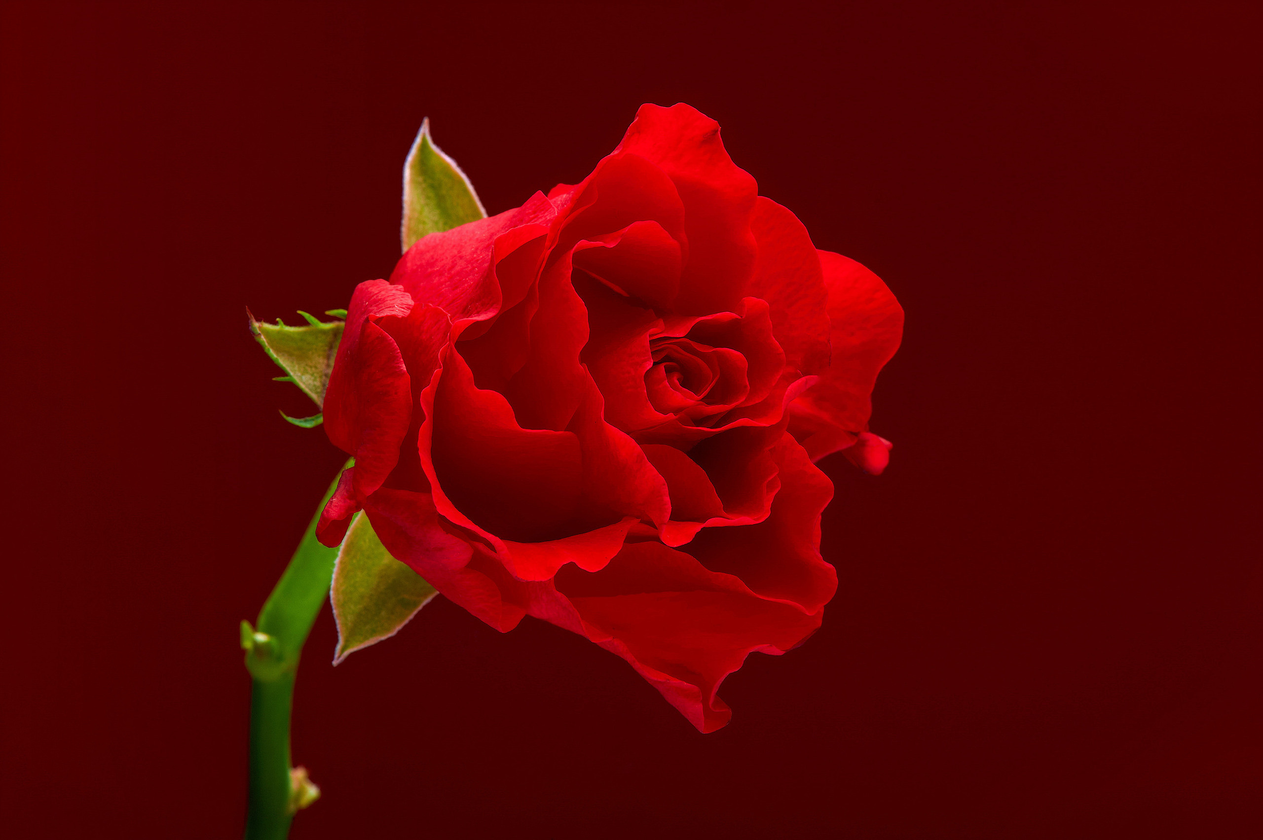 Commercial. Commercial, interior, food photographer Andrey Nikiforov, based in Rig