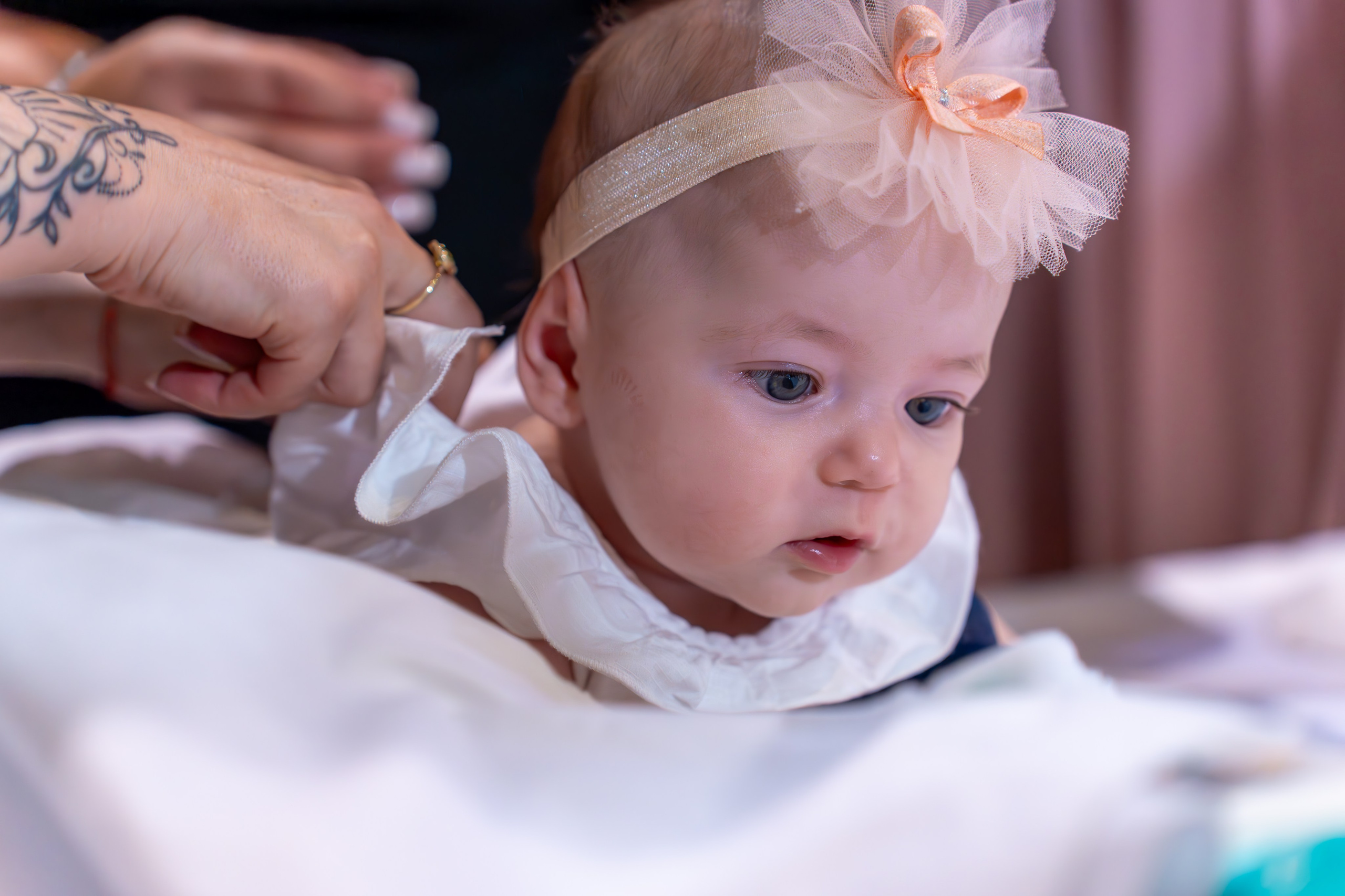 ✨ Portofoliu Botez ✨. Murgeanulucian