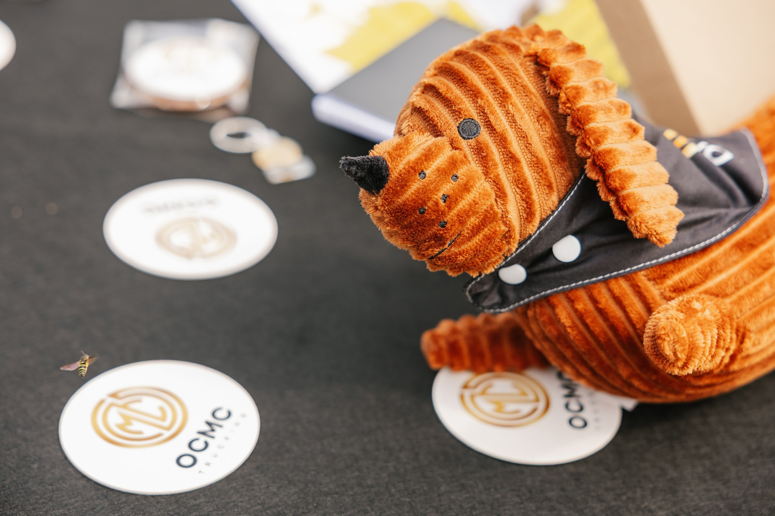 OCMC 09.13.2025. Wedding family event photographer in Chicago Nick Yushevich