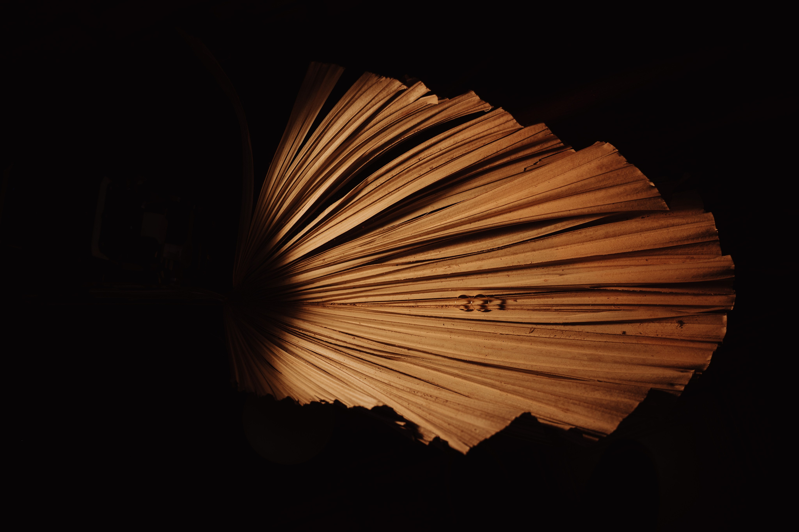 Jessica & Miguel. O Casal Dos Noivos