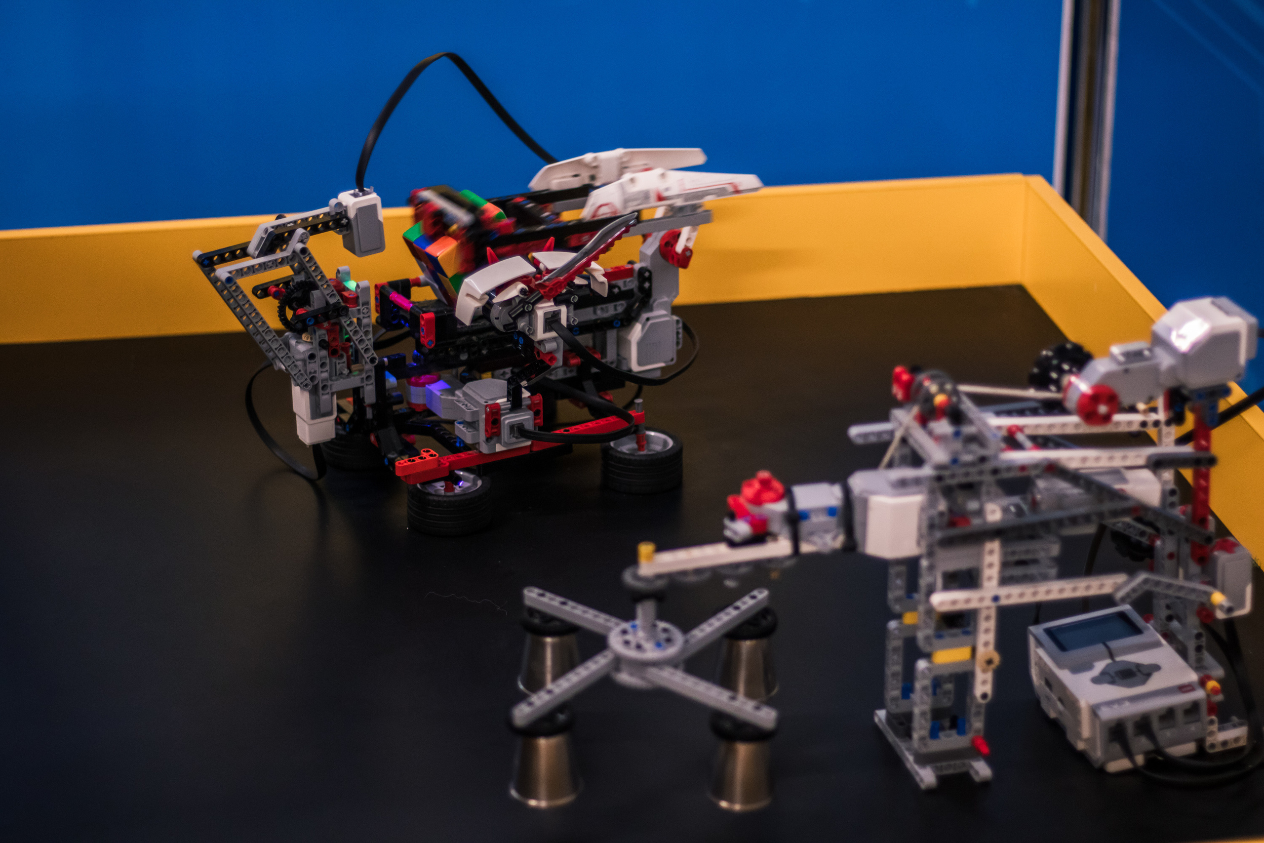 Robo Park Muzeum Robotów. Dimitri Ilkov Photography — Capturing Life’s Moments in Edmonton, Cana