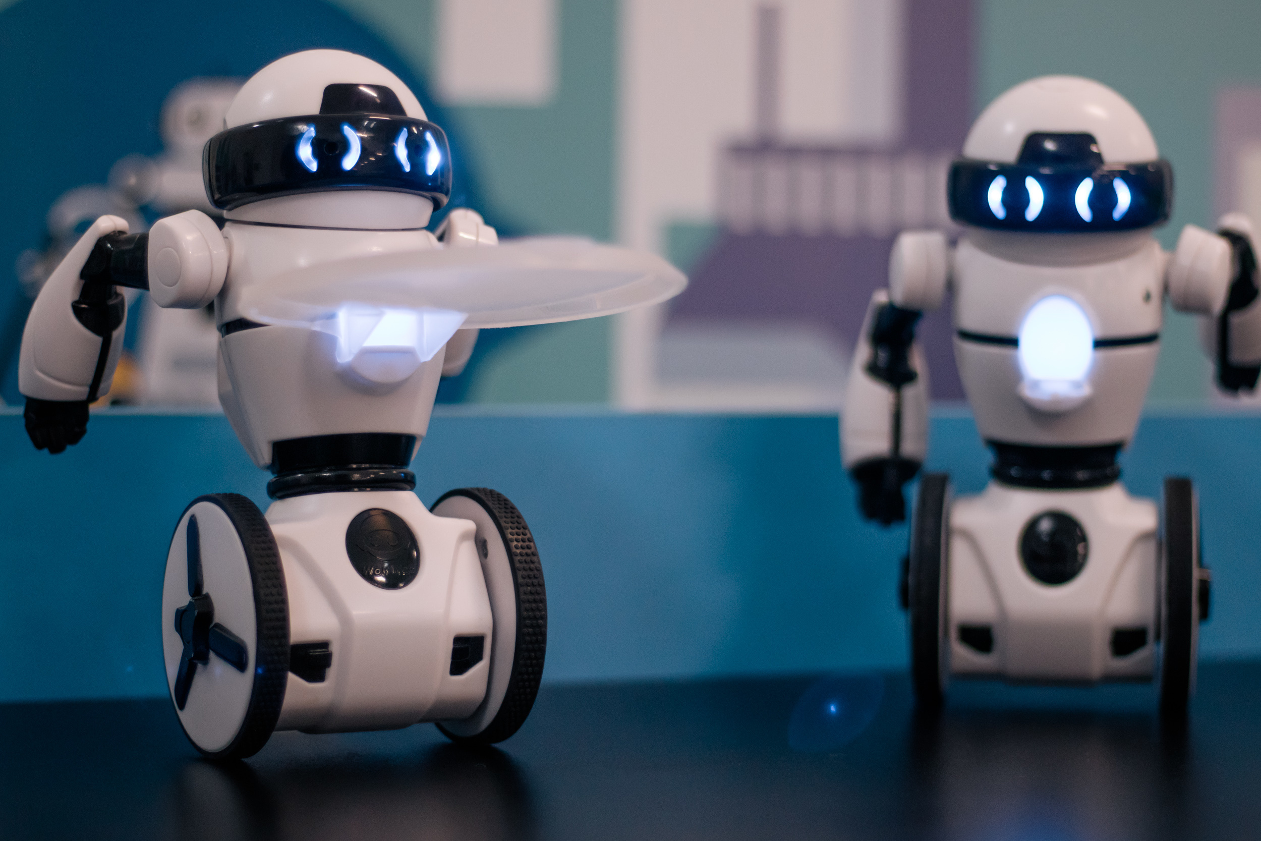 Robo Park Muzeum Robotów. Dimitri Ilkov Photography — Capturing Life’s Moments in Edmonton, Cana