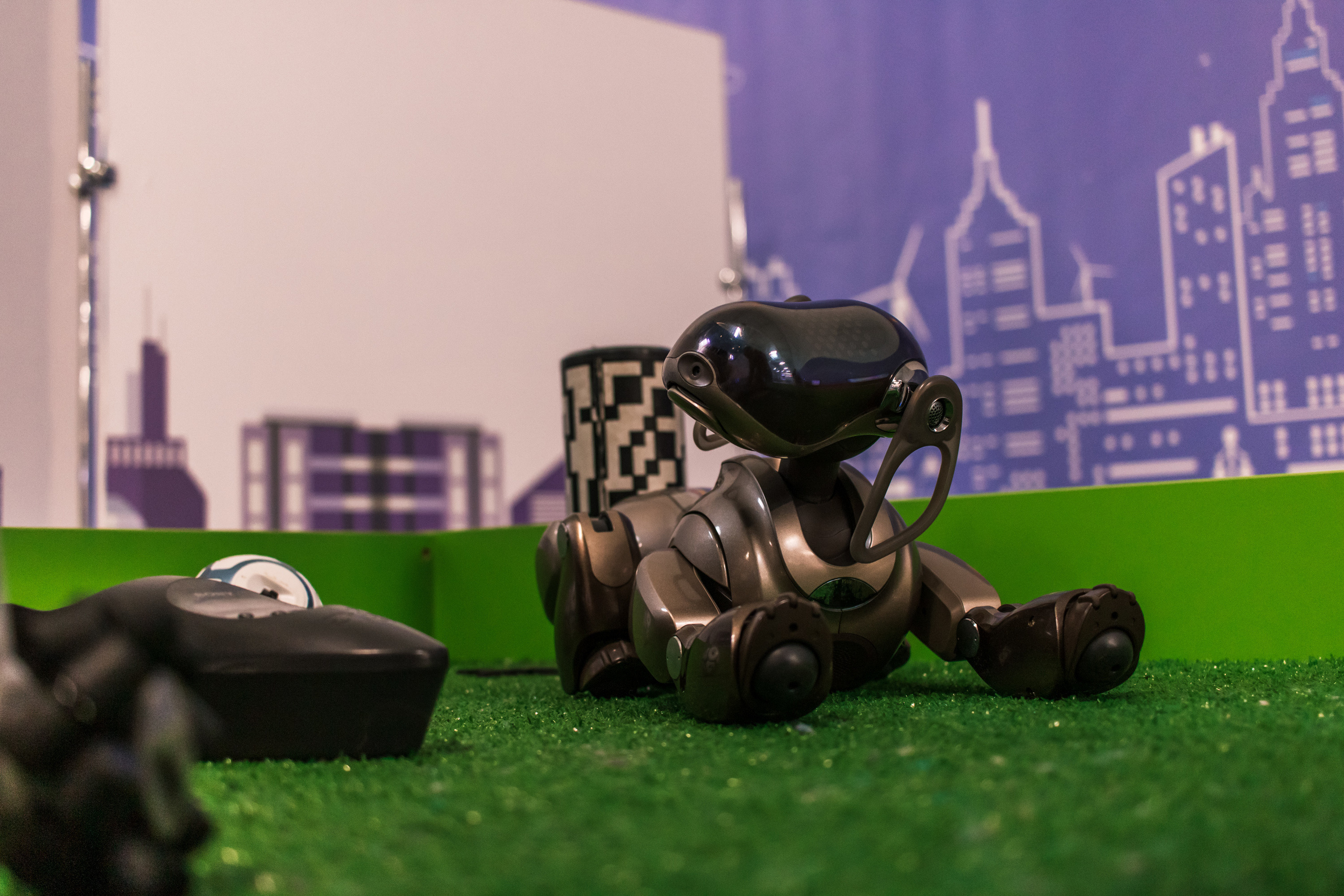 Robo Park Muzeum Robotów. Dimitri Ilkov Photography — Capturing Life’s Moments in Edmonton, Cana