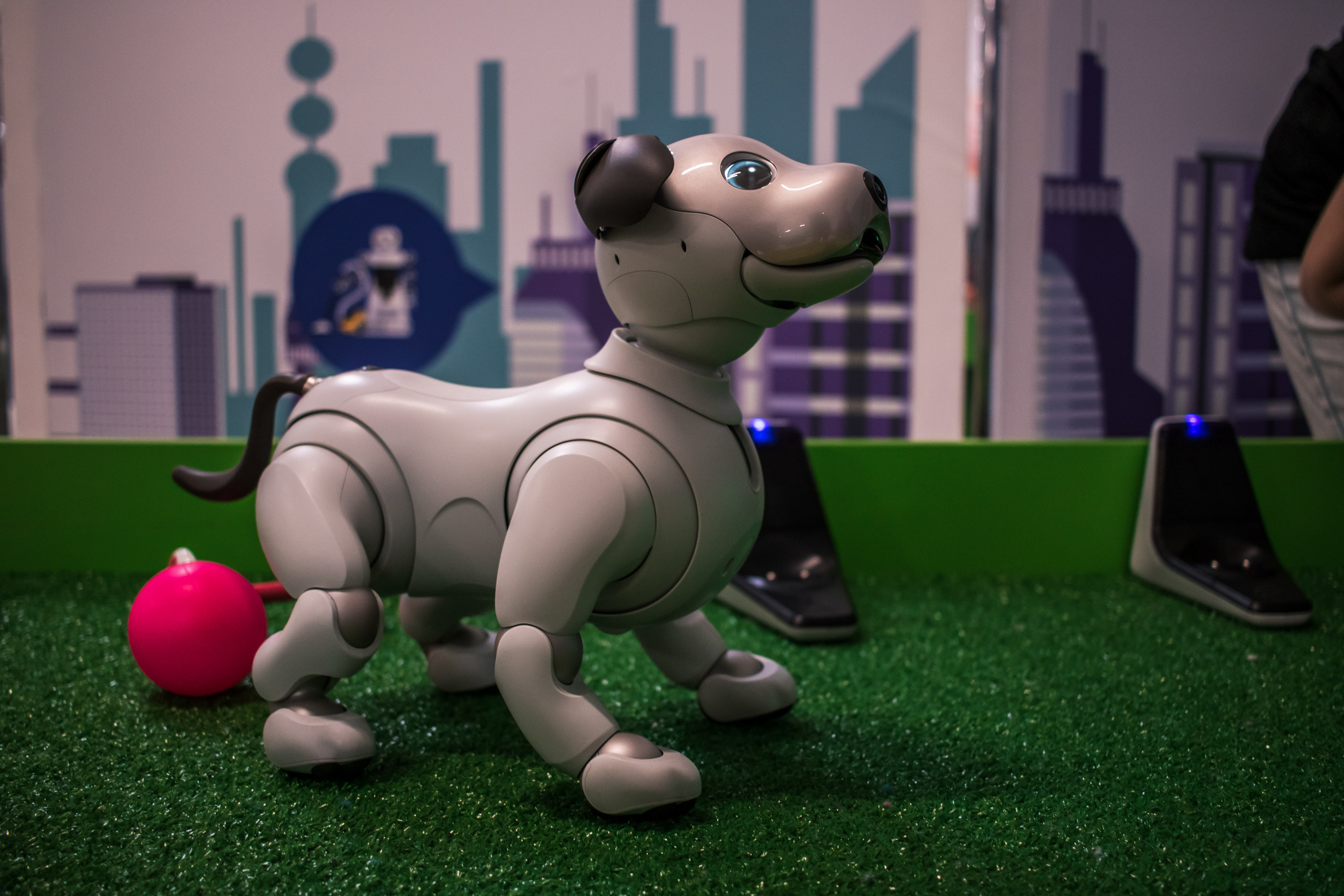 Robo Park Muzeum Robotów. Dimitri Ilkov Photography — Capturing Life’s Moments in Edmonton, Cana