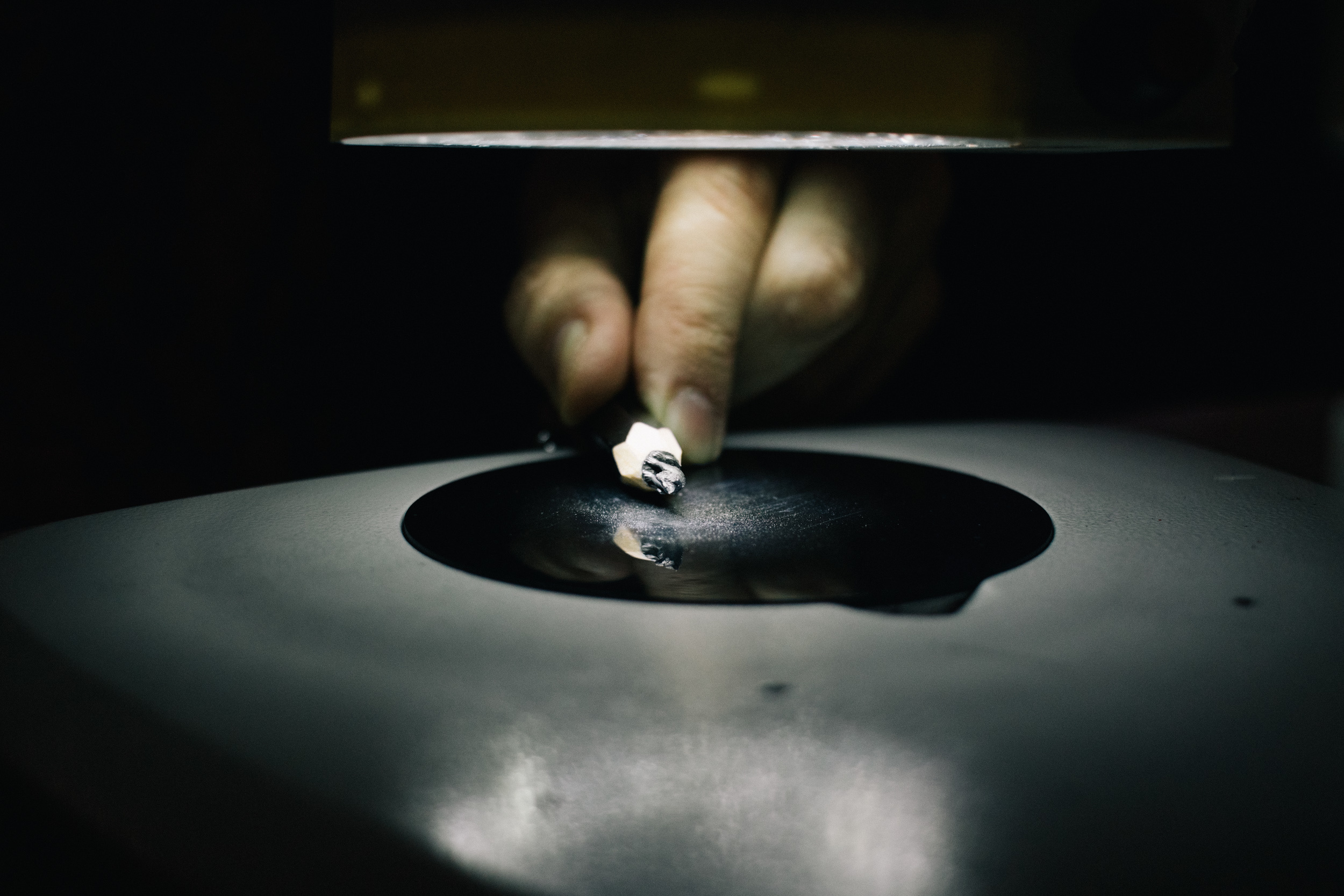 Wejdź do świata "Gry o Tron" - Centrum handlowe Magnolia Park. Dimitri Ilkov Photography — Capturing Life’s Moments in Edmonton, Cana