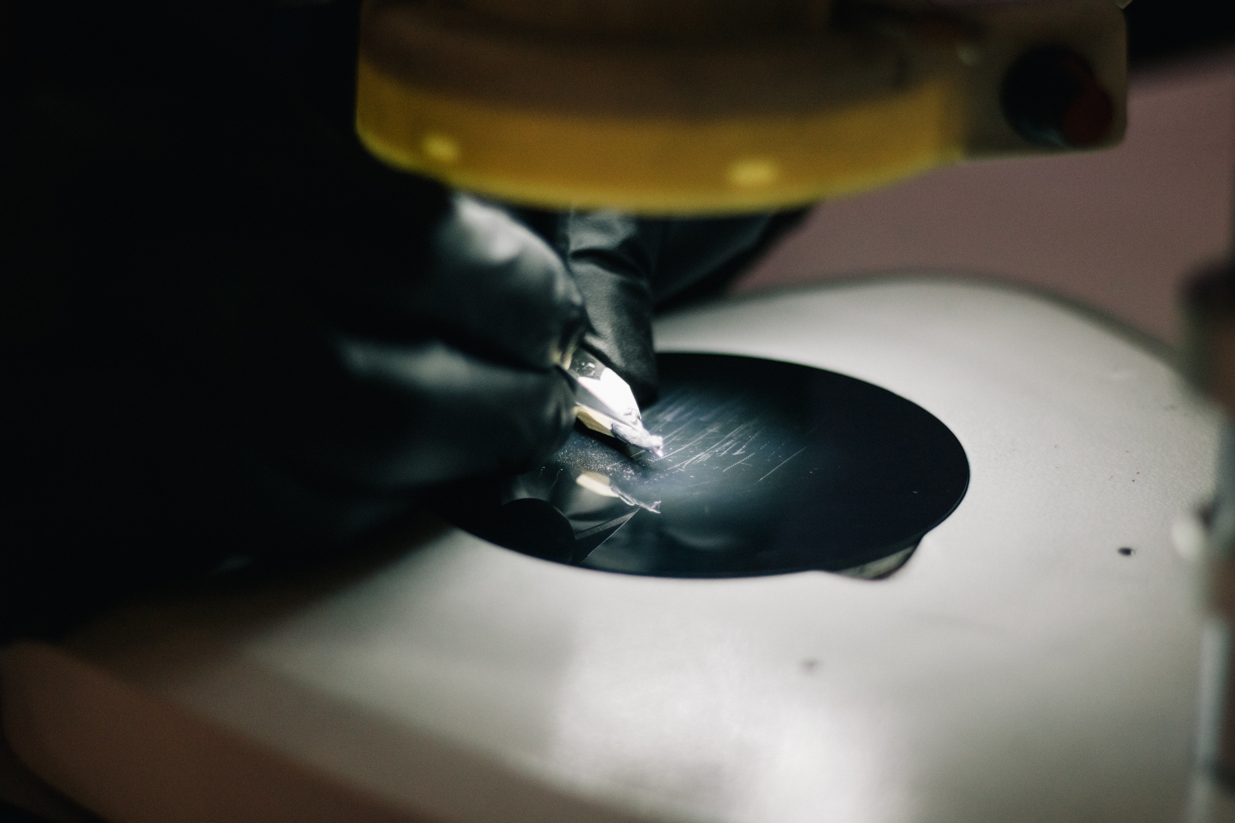 Wejdź do świata "Gry o Tron" - Centrum handlowe Magnolia Park. Dimitri Ilkov Photography — Capturing Life’s Moments in Edmonton, Cana