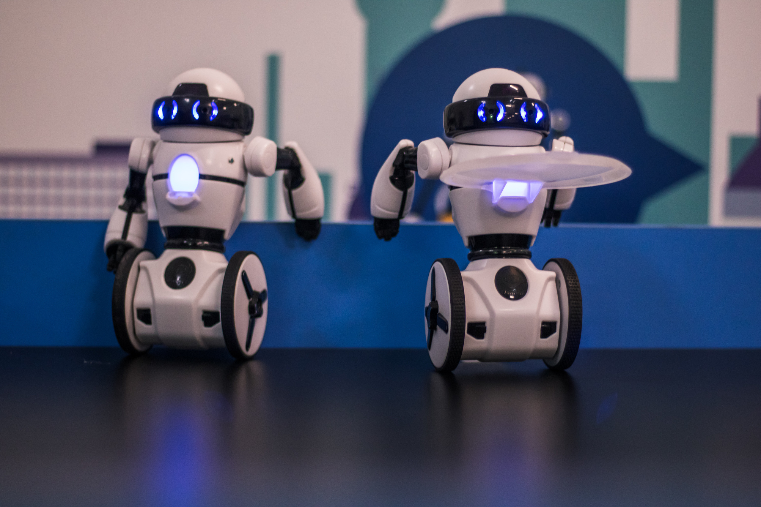 Robo Park Muzeum Robotów. Dimitri Ilkov Photography — Capturing Life’s Moments in Edmonton, Cana