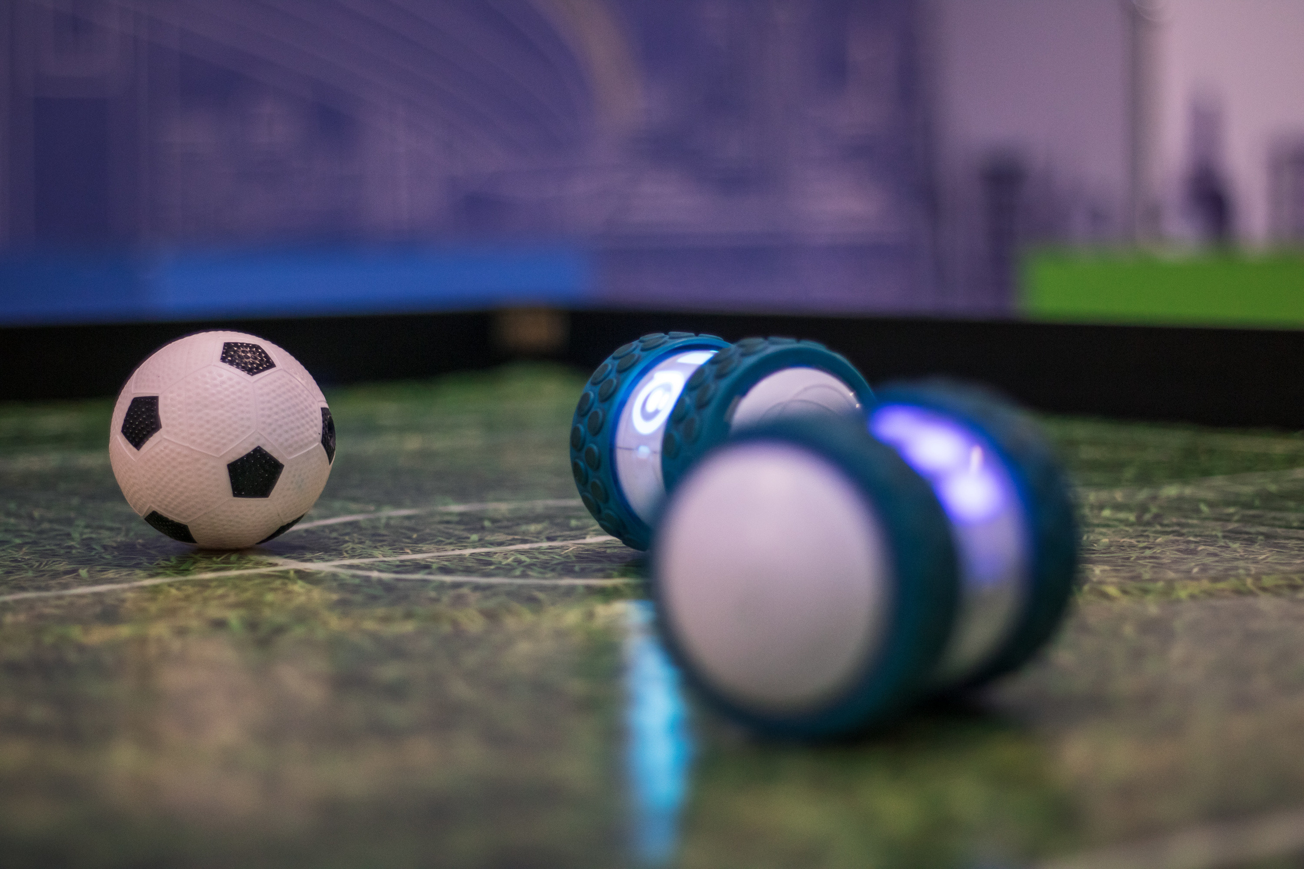 Robo Park Muzeum Robotów. Dimitri Ilkov Photography — Capturing Life’s Moments in Edmonton, Cana