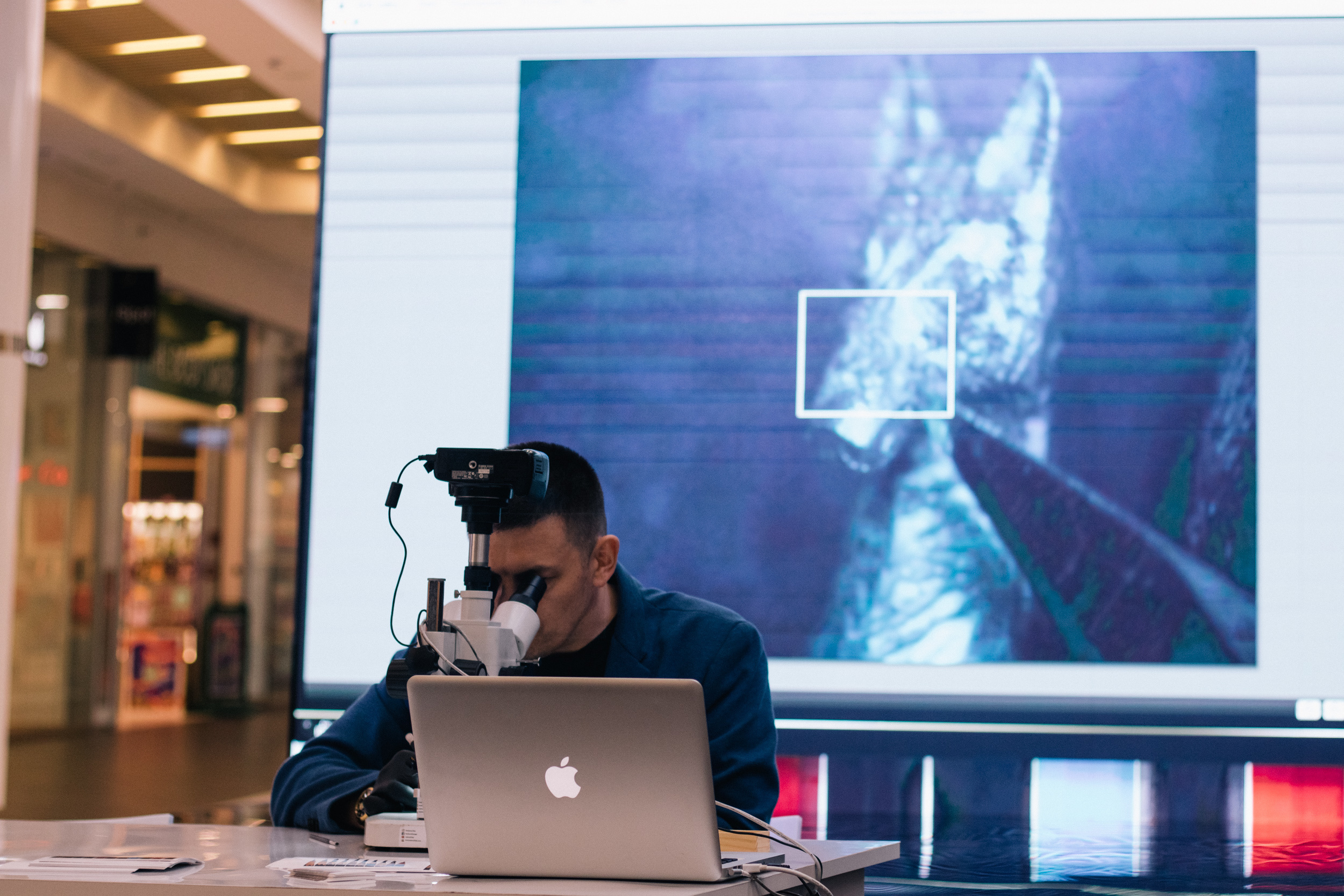 Wejdź do świata "Gry o Tron" - Centrum handlowe Magnolia Park. Dimitri Ilkov Photography — Capturing Life’s Moments in Edmonton, Cana