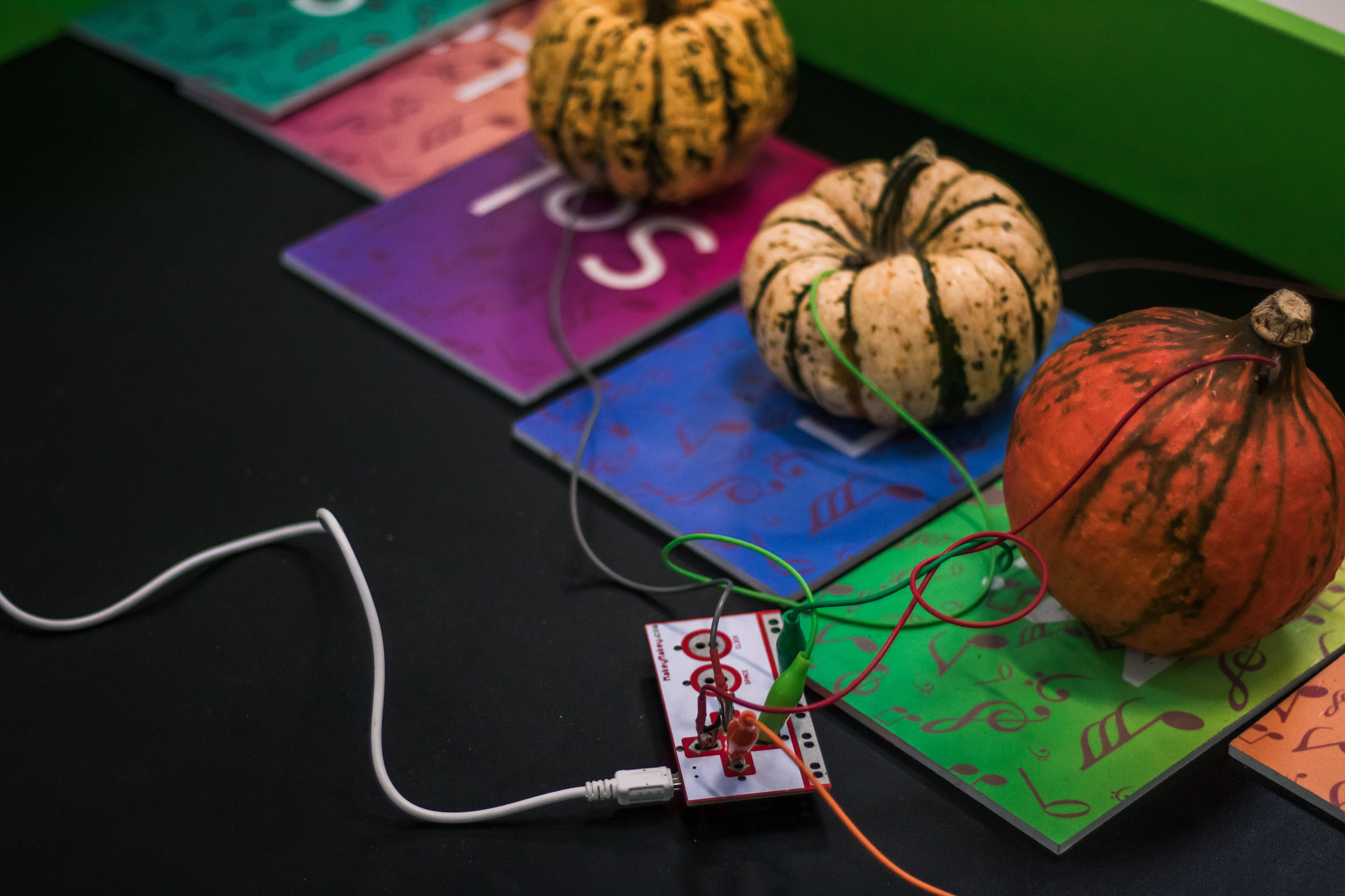 Robo Park Muzeum Robotów. Dimitri Ilkov Photography — Capturing Life’s Moments in Edmonton, Cana