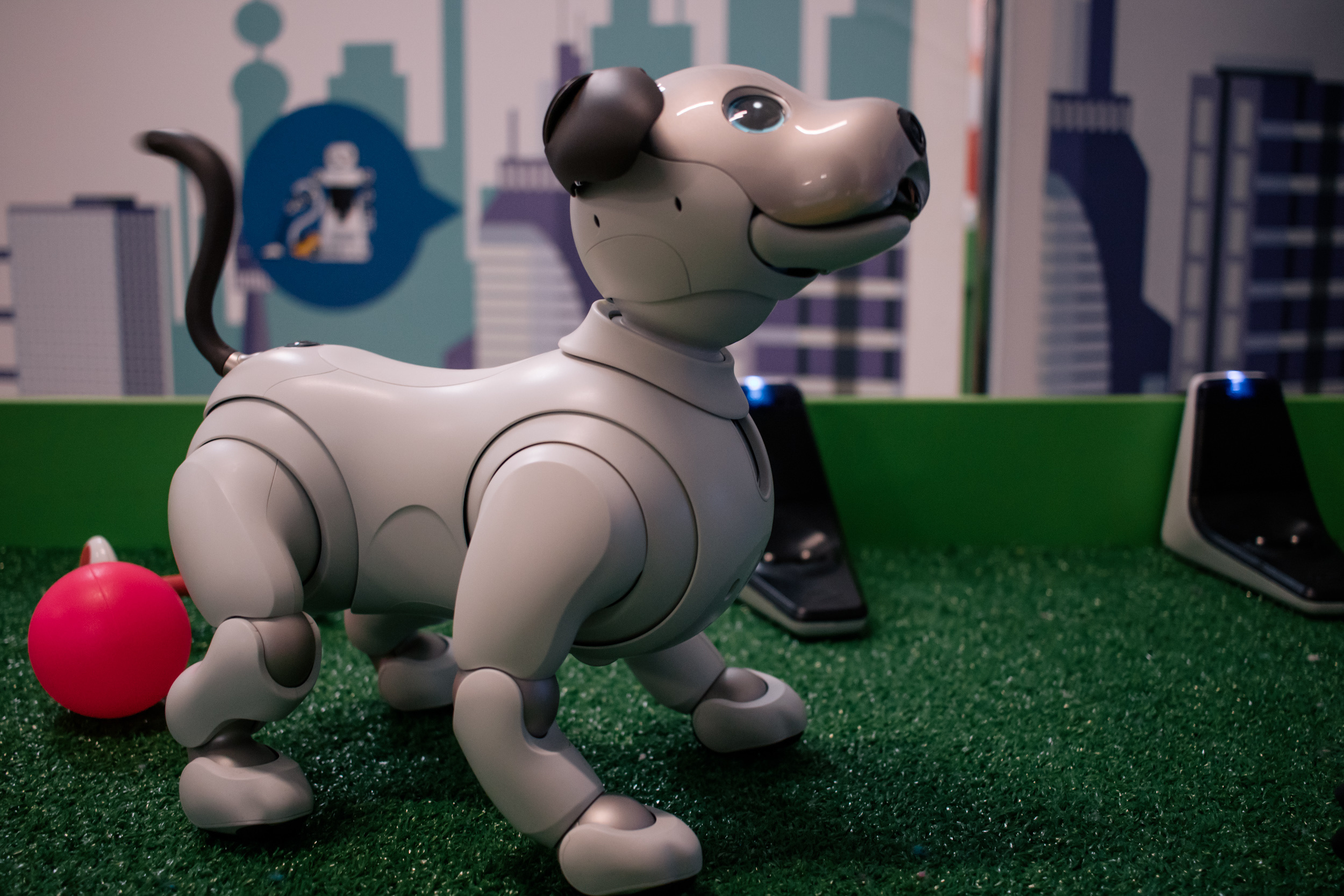 Robo Park Muzeum Robotów. Dimitri Ilkov Photography — Capturing Life’s Moments in Edmonton, Cana