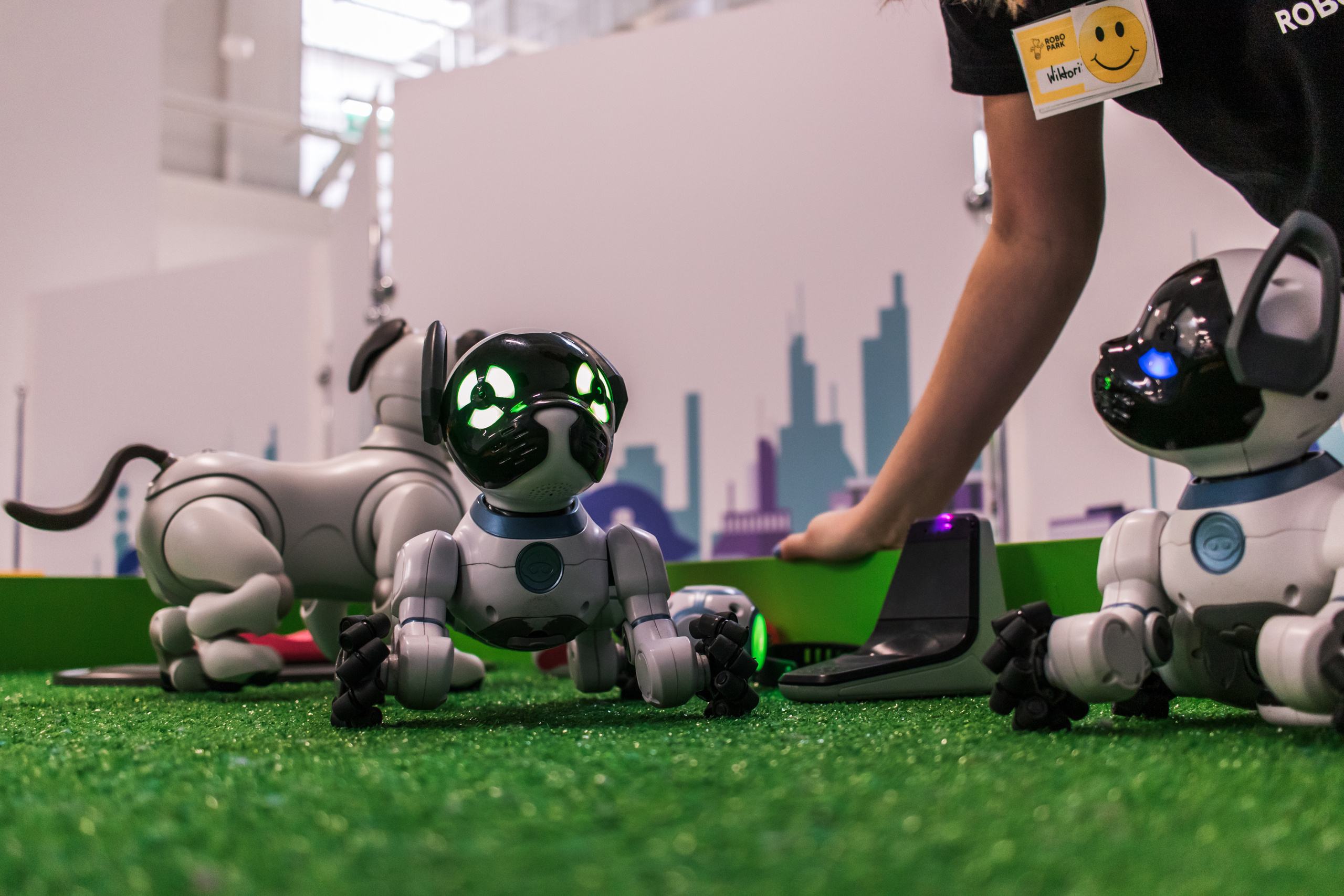 Robo Park Muzeum Robotów. Dimitri Ilkov Photography — Capturing Life’s Moments in Edmonton, Cana