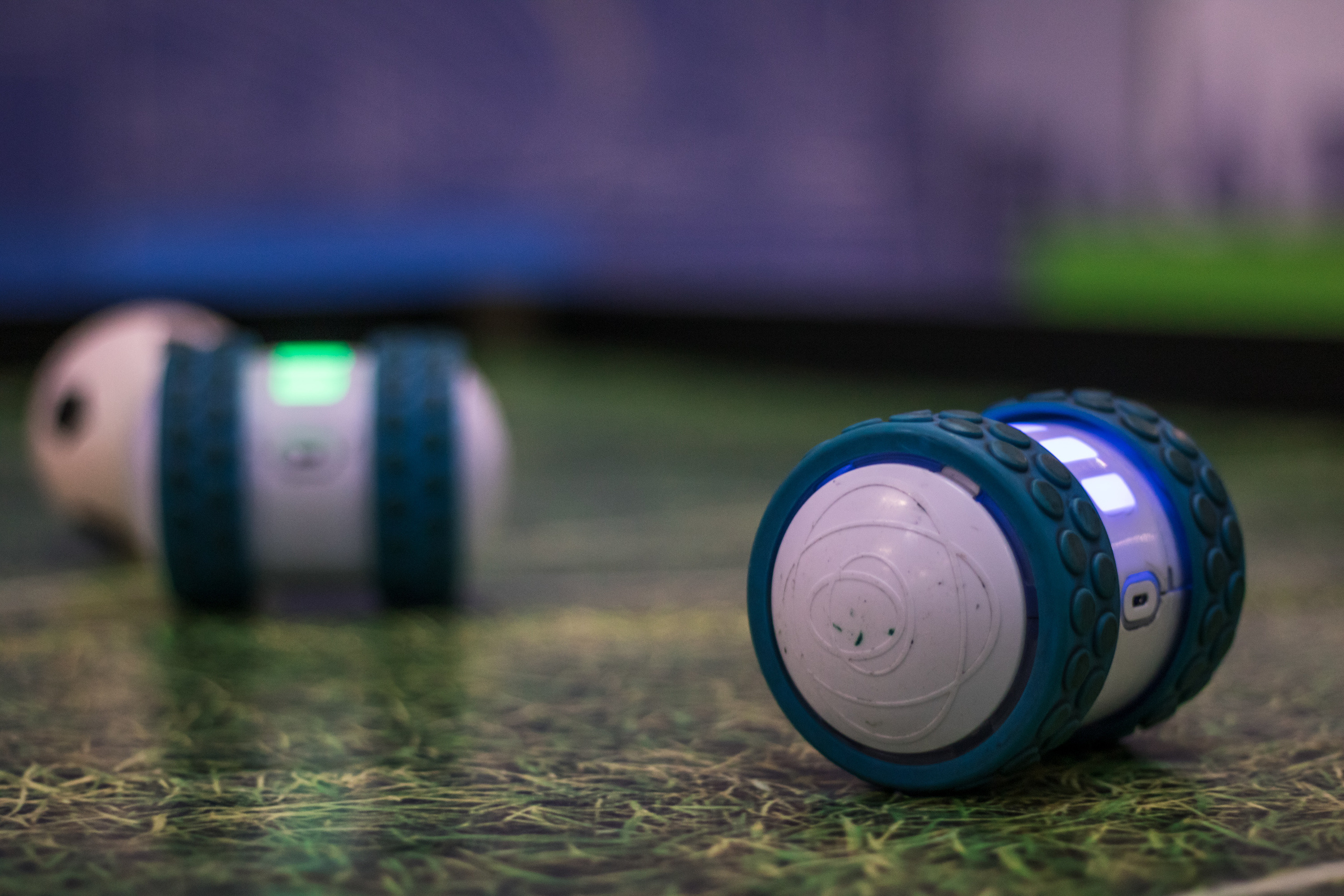 Robo Park Muzeum Robotów. Dimitri Ilkov Photography — Capturing Life’s Moments in Edmonton, Cana