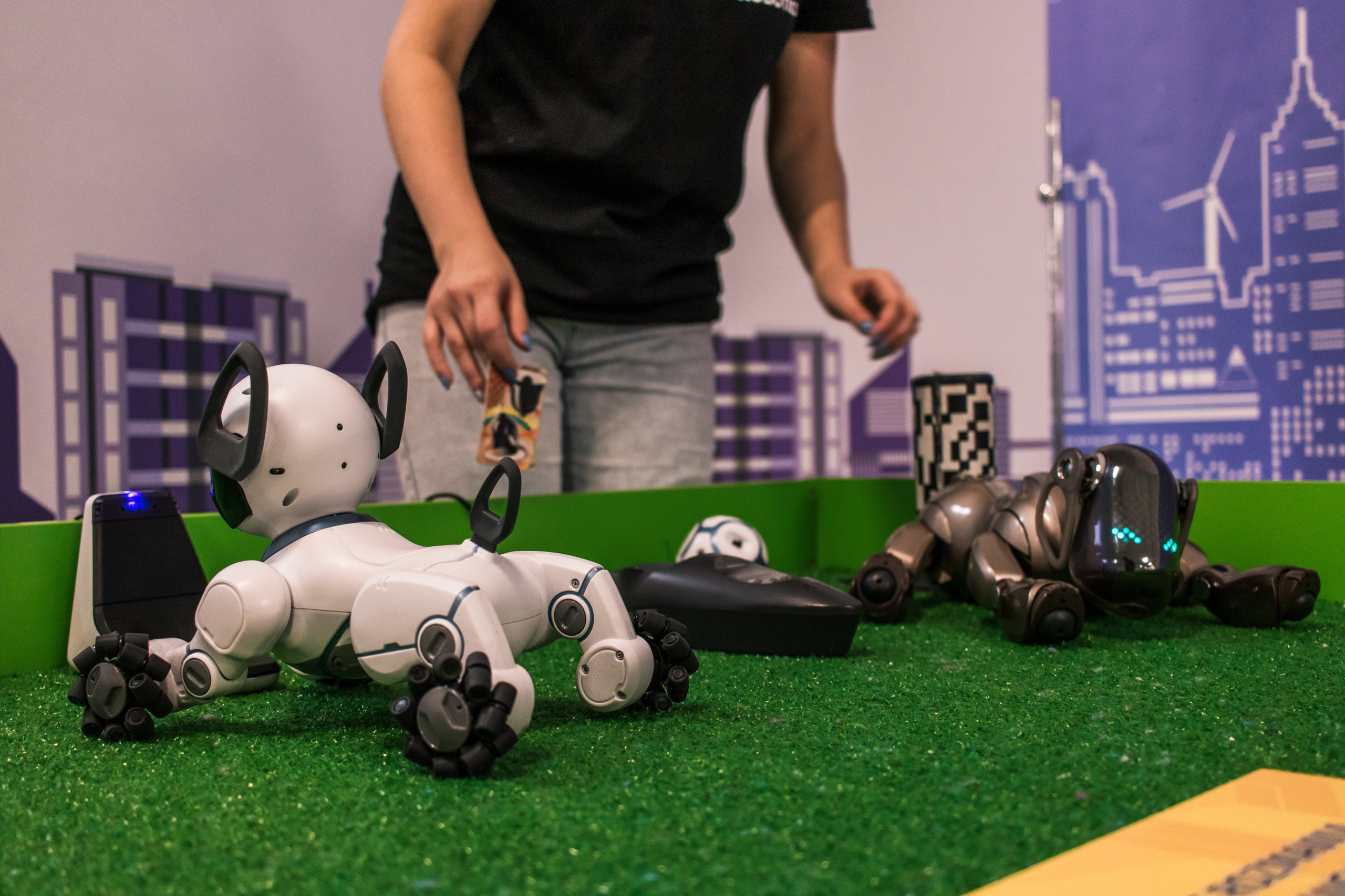 Robo Park Muzeum Robotów. Dimitri Ilkov Photography — Capturing Life’s Moments in Edmonton, Cana