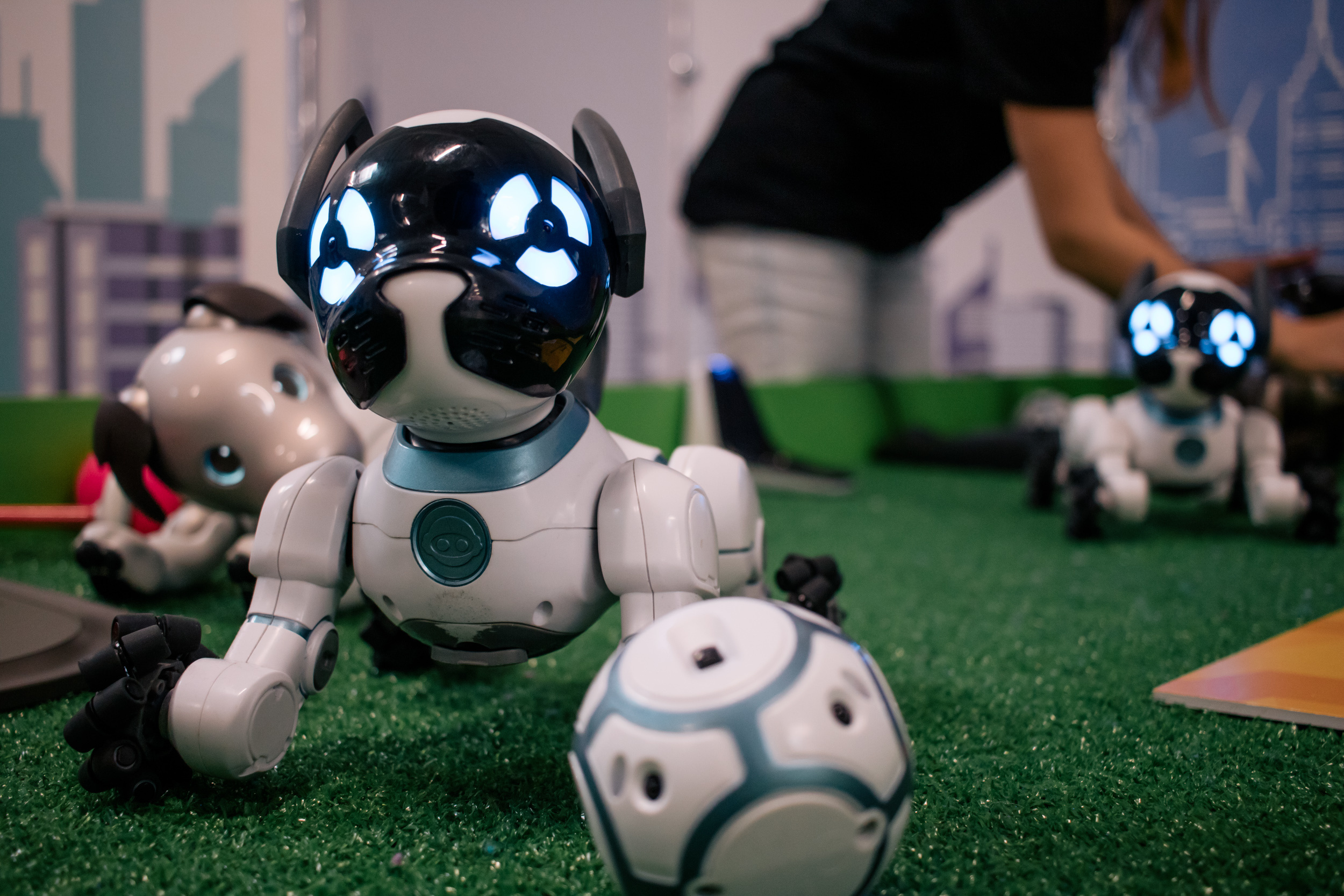 Robo Park Muzeum Robotów. Dimitri Ilkov Photography — Capturing Life’s Moments in Edmonton, Cana