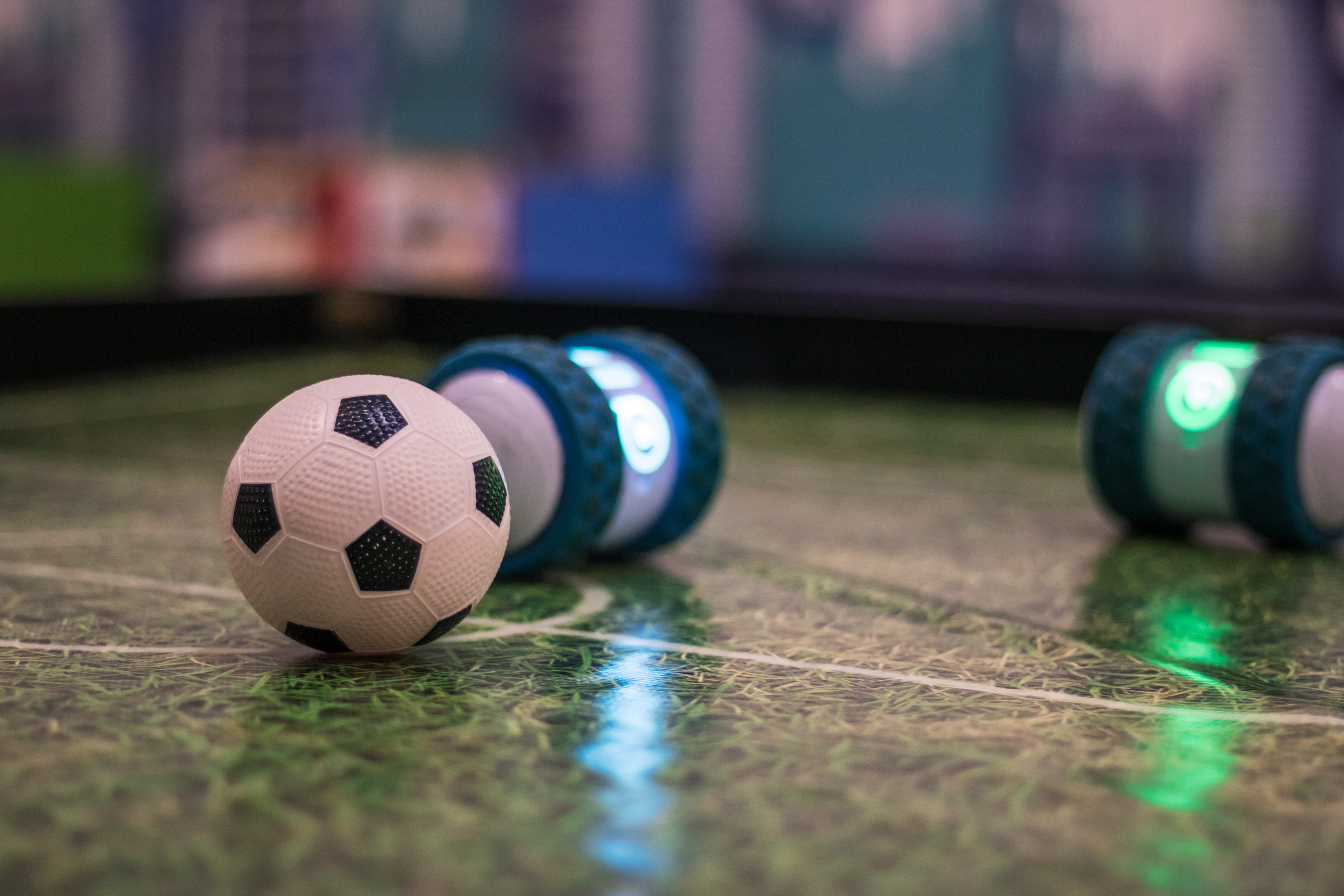 Robo Park Muzeum Robotów. Dimitri Ilkov Photography — Capturing Life’s Moments in Edmonton, Cana