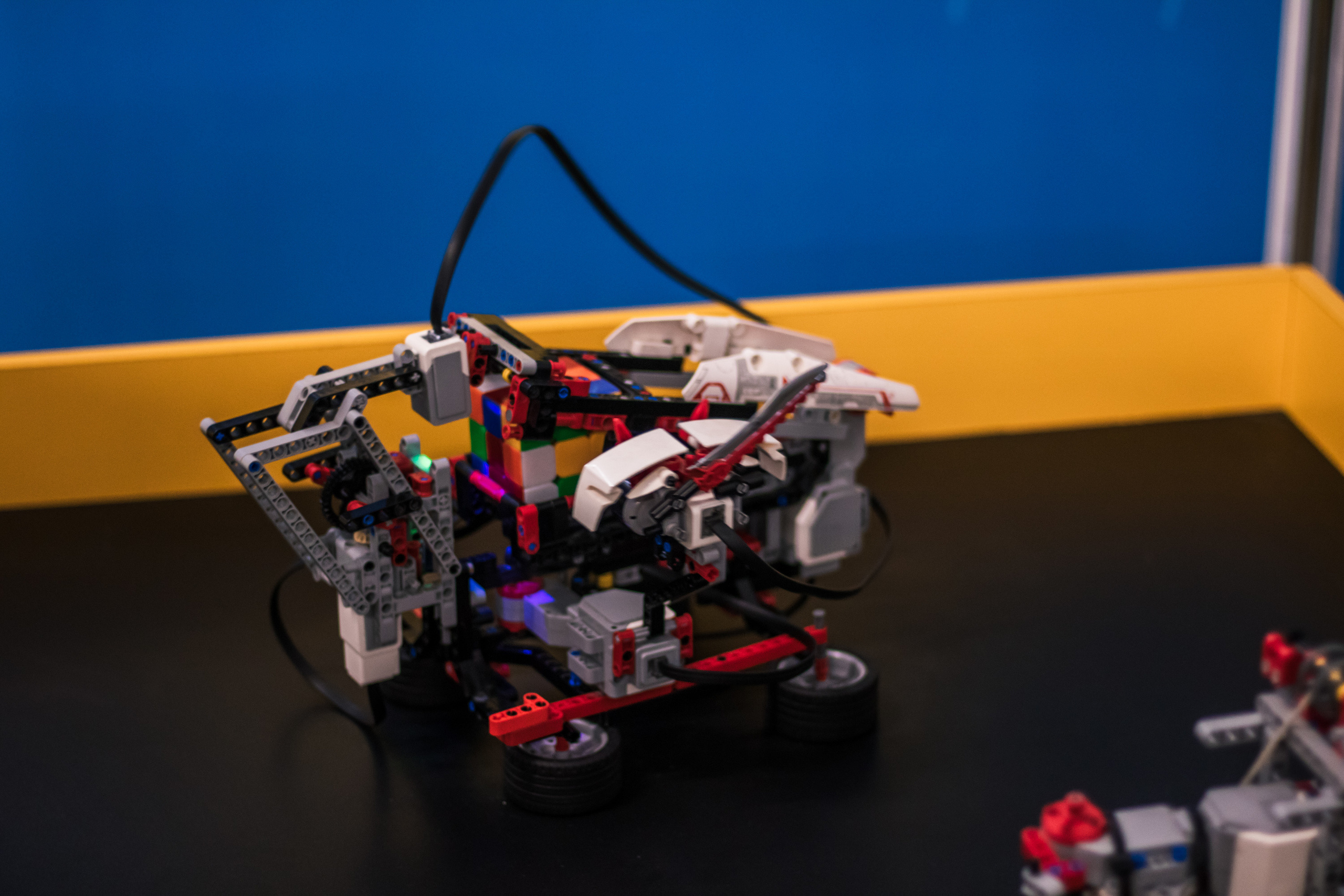 Robo Park Muzeum Robotów. Dimitri Ilkov Photography — Capturing Life’s Moments in Edmonton, Cana