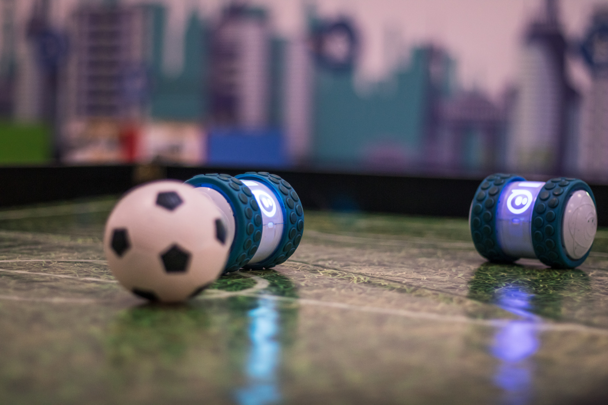 Robo Park Muzeum Robotów. Dimitri Ilkov Photography — Capturing Life’s Moments in Edmonton, Cana