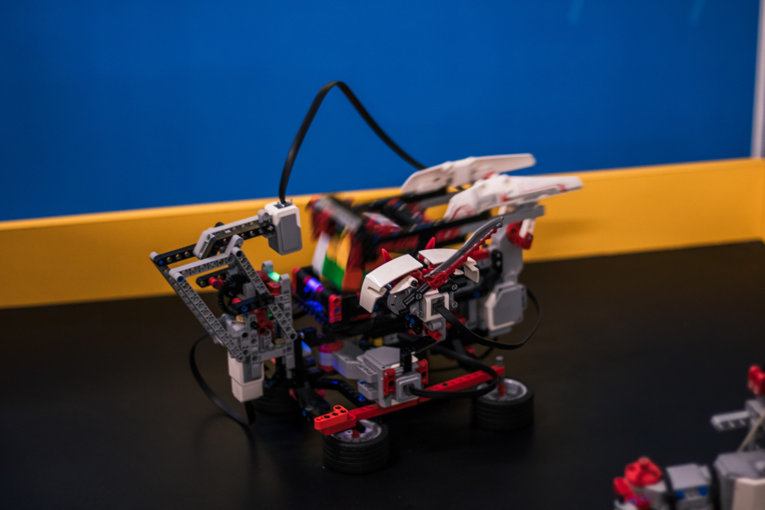 Robo Park Muzeum Robotów. Dimitri Ilkov Photography — Capturing Life’s Moments in Edmonton, Cana