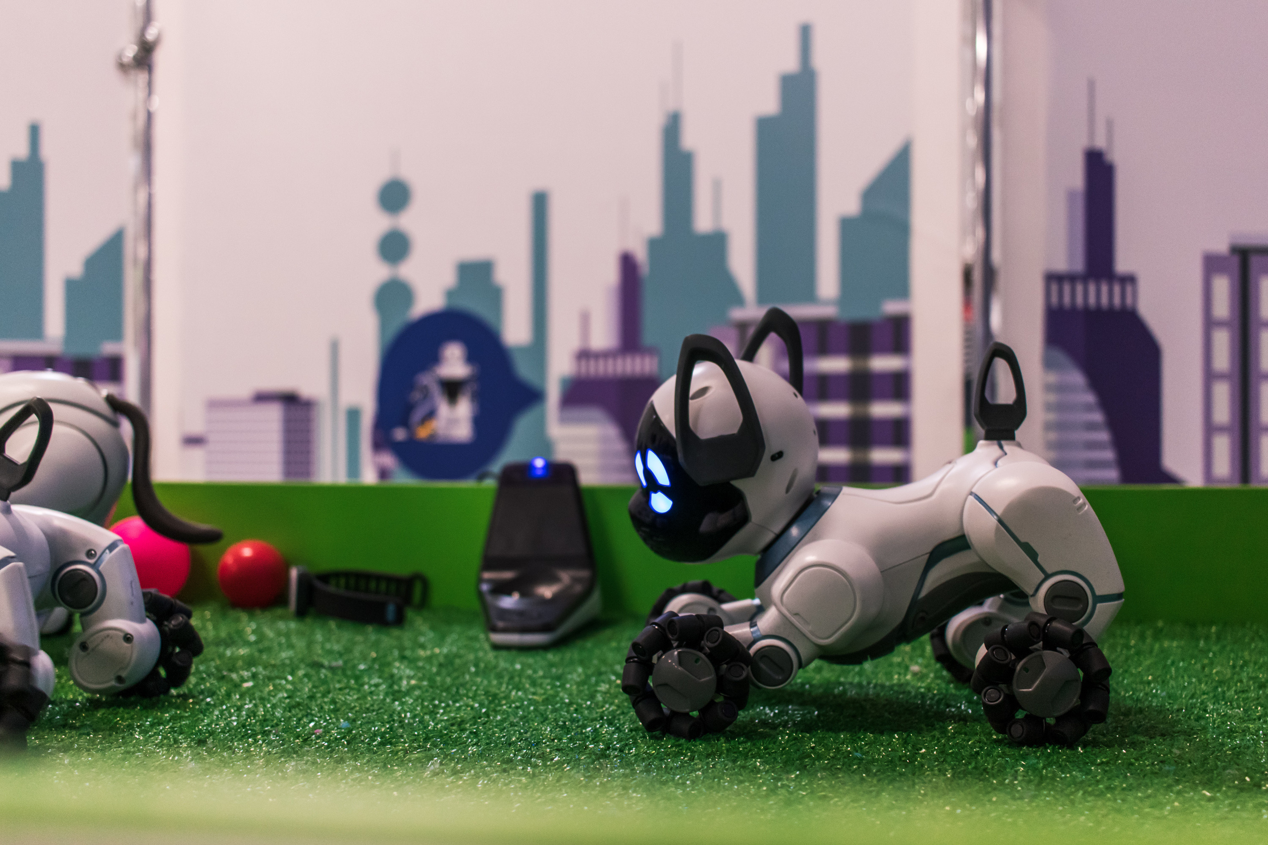 Robo Park Muzeum Robotów. Dimitri Ilkov Photography — Capturing Life’s Moments in Edmonton, Cana