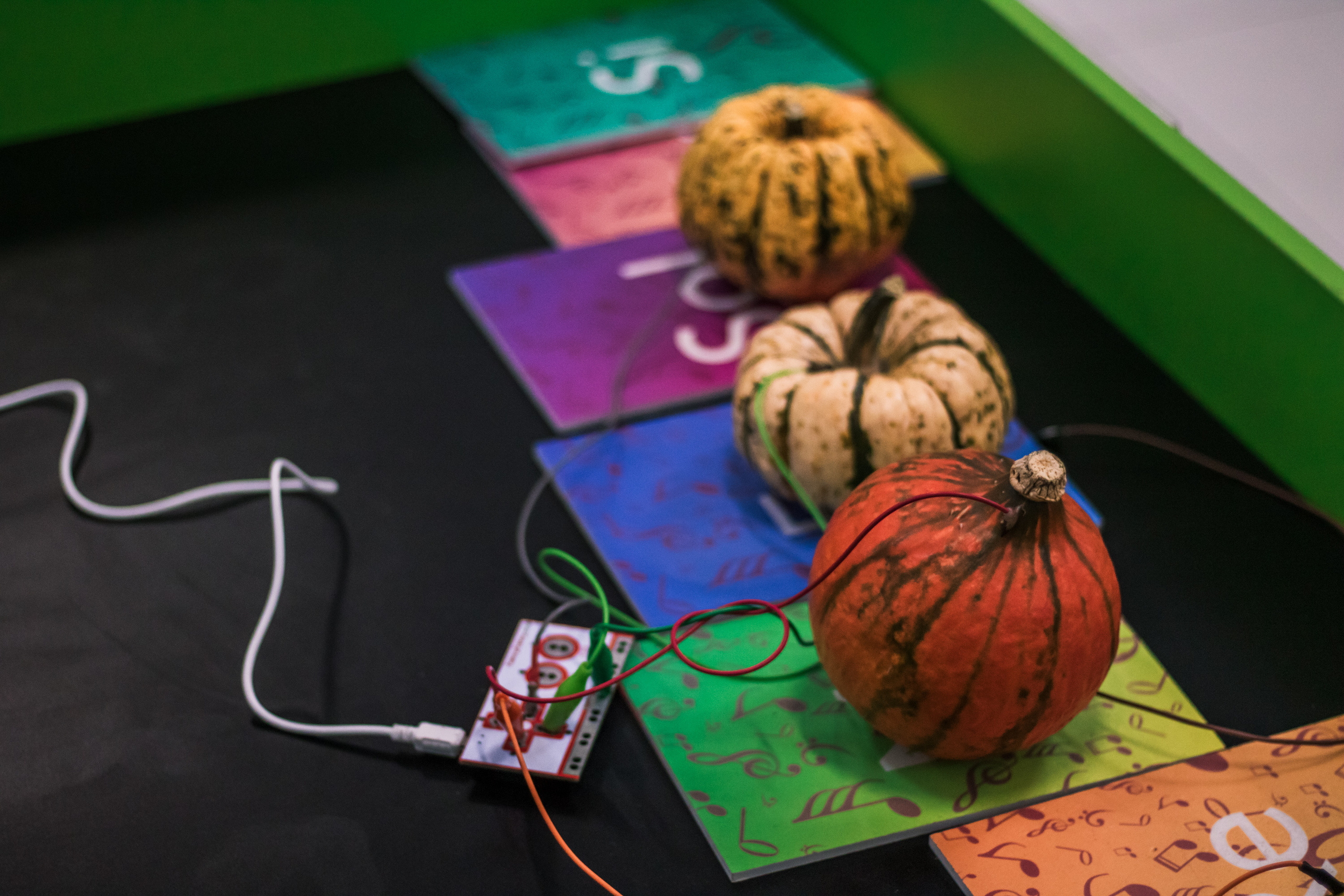 Robo Park Muzeum Robotów. Dimitri Ilkov Photography — Capturing Life’s Moments in Edmonton, Cana