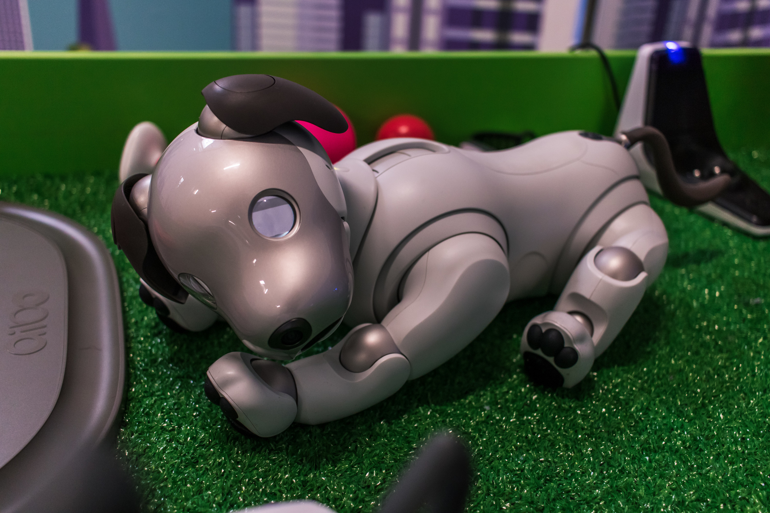 Robo Park Muzeum Robotów. Dimitri Ilkov Photography — Capturing Life’s Moments in Edmonton, Cana