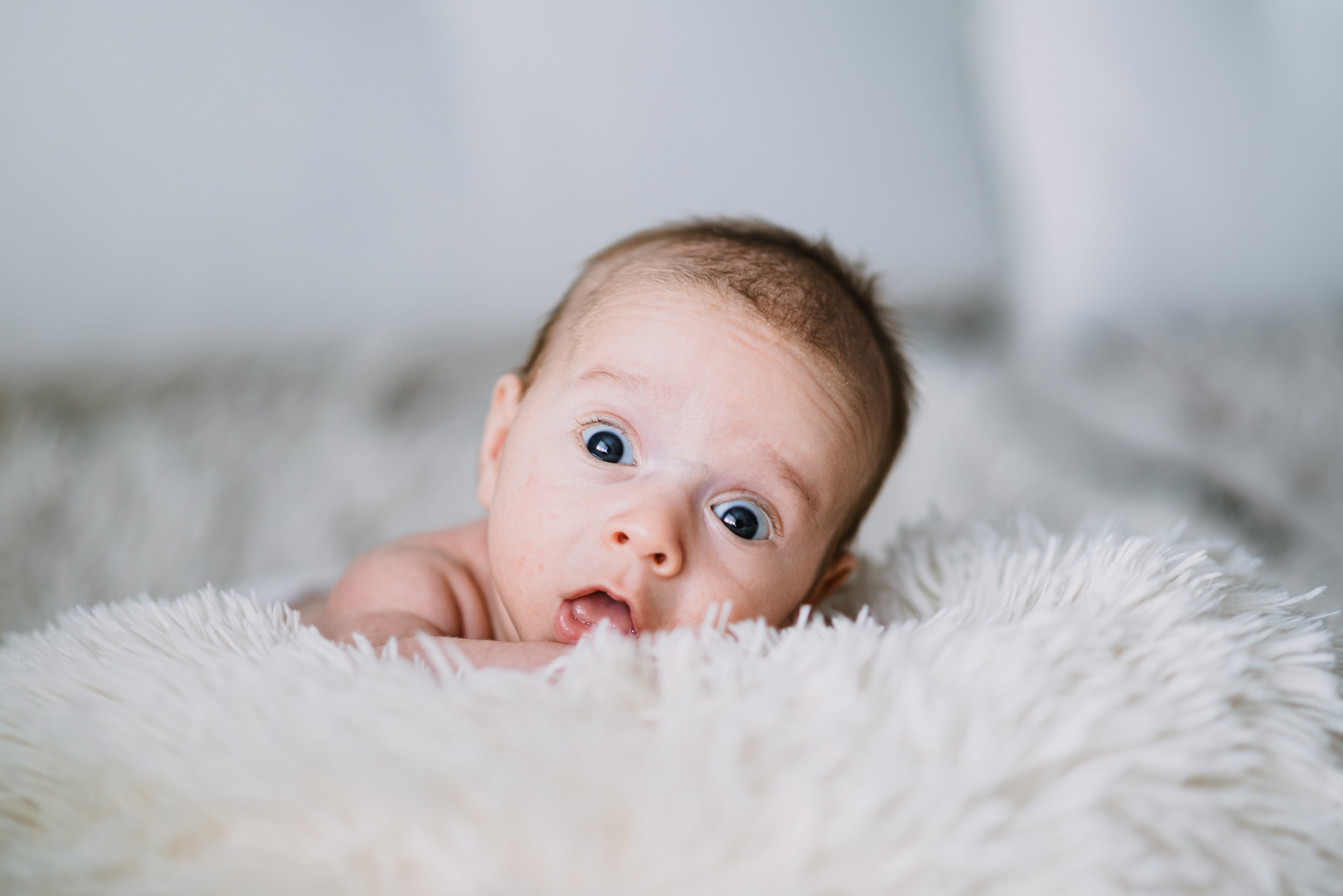 Teodor Mihai. Giani Maftei