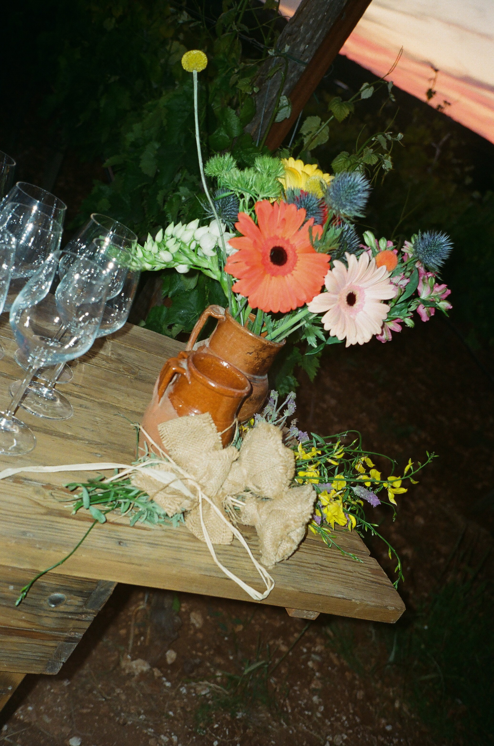 Stephanie & Christian film photos. Весільний фотограф Вікторія Саврук