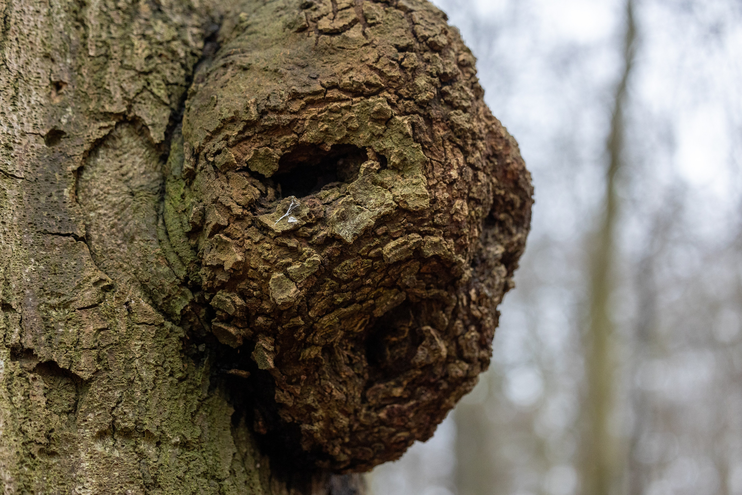 Forår. Fotograf Aarhus | Portrætfoto Århus | Flotte billeder