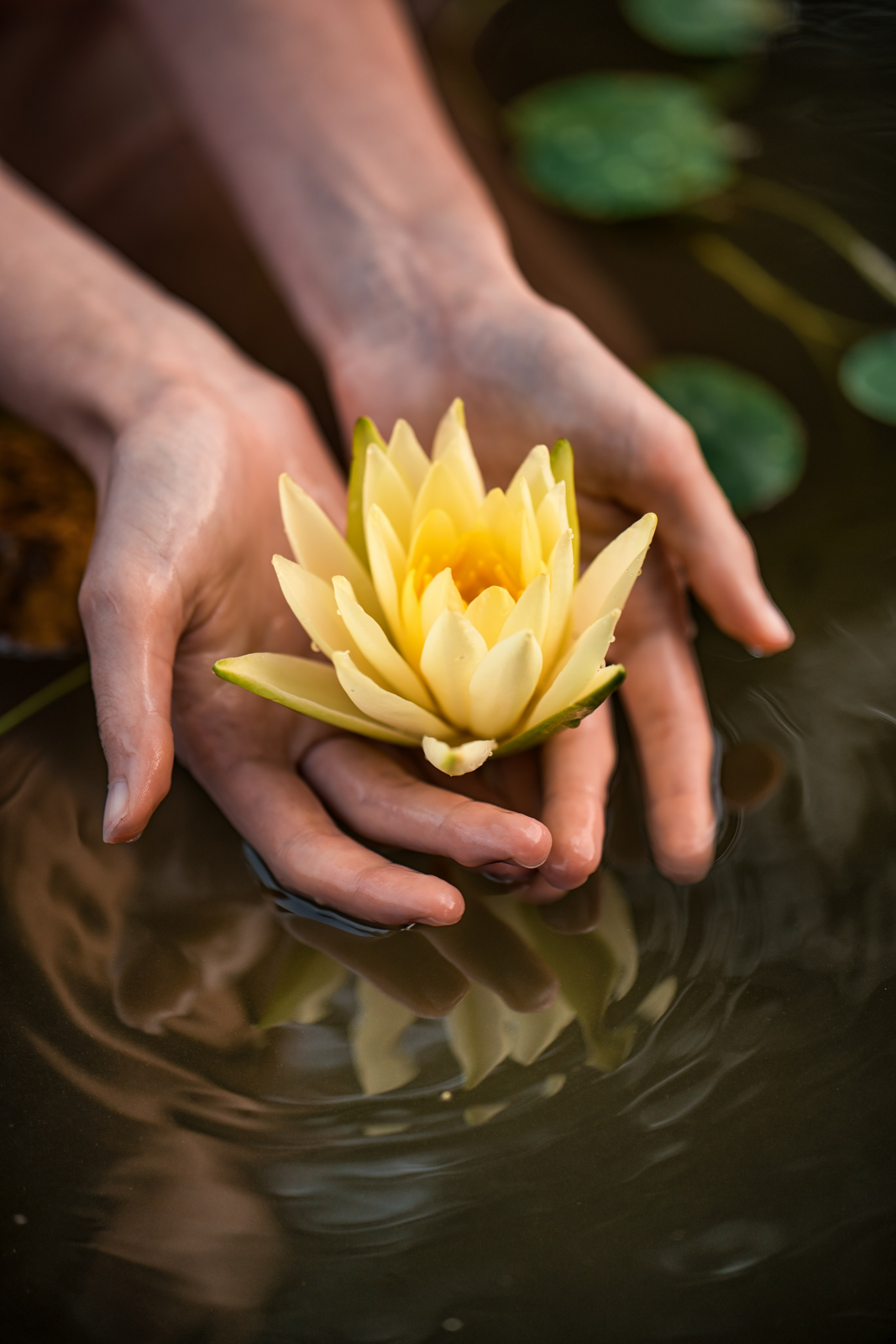 Portfolio. Olga Tenigina Environmental Fine Art Portrait Photographer | Geneva, Switzerland